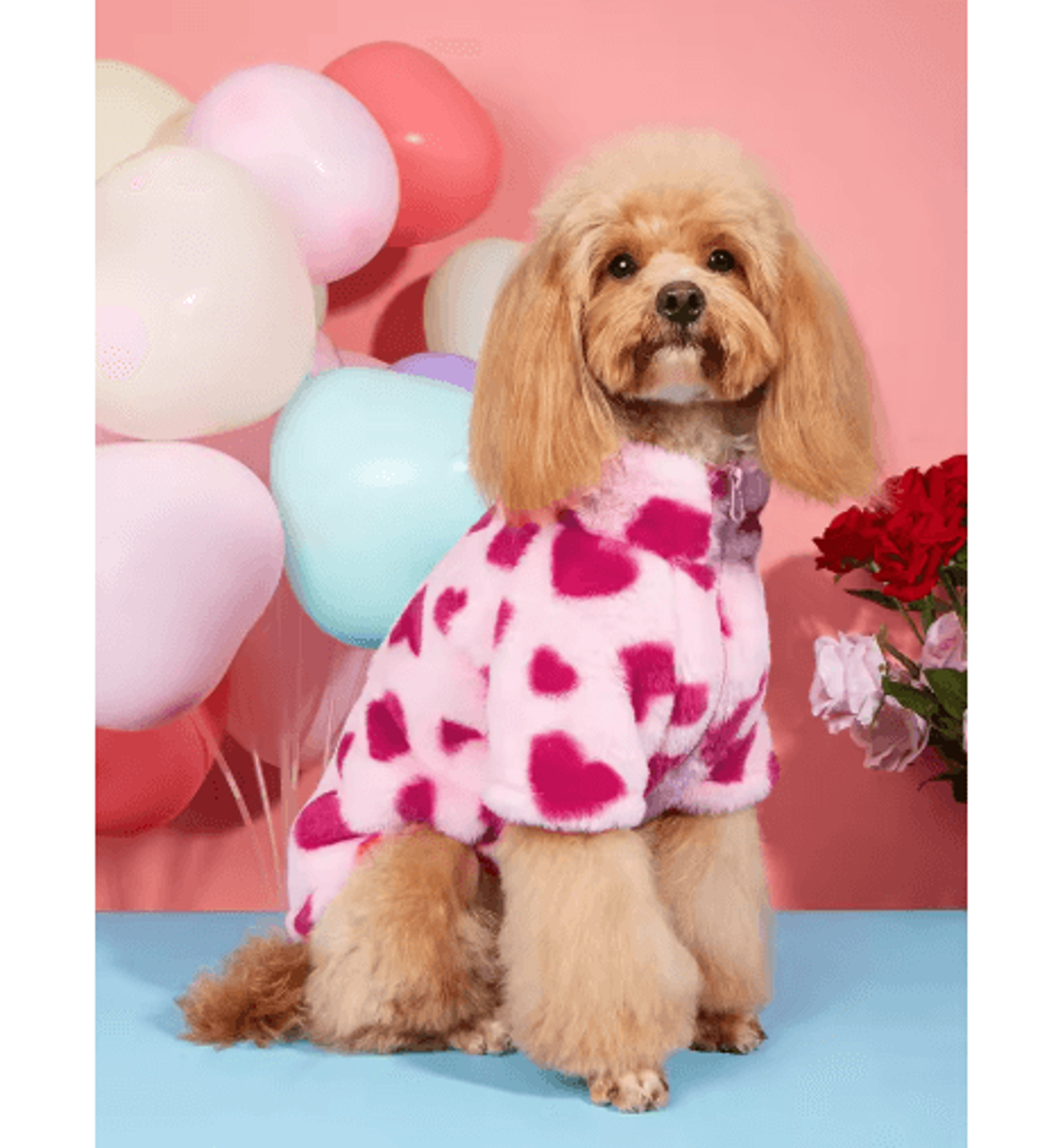 heart print winter dog hoodie – super soft warm pet jacket for small & medium dogs