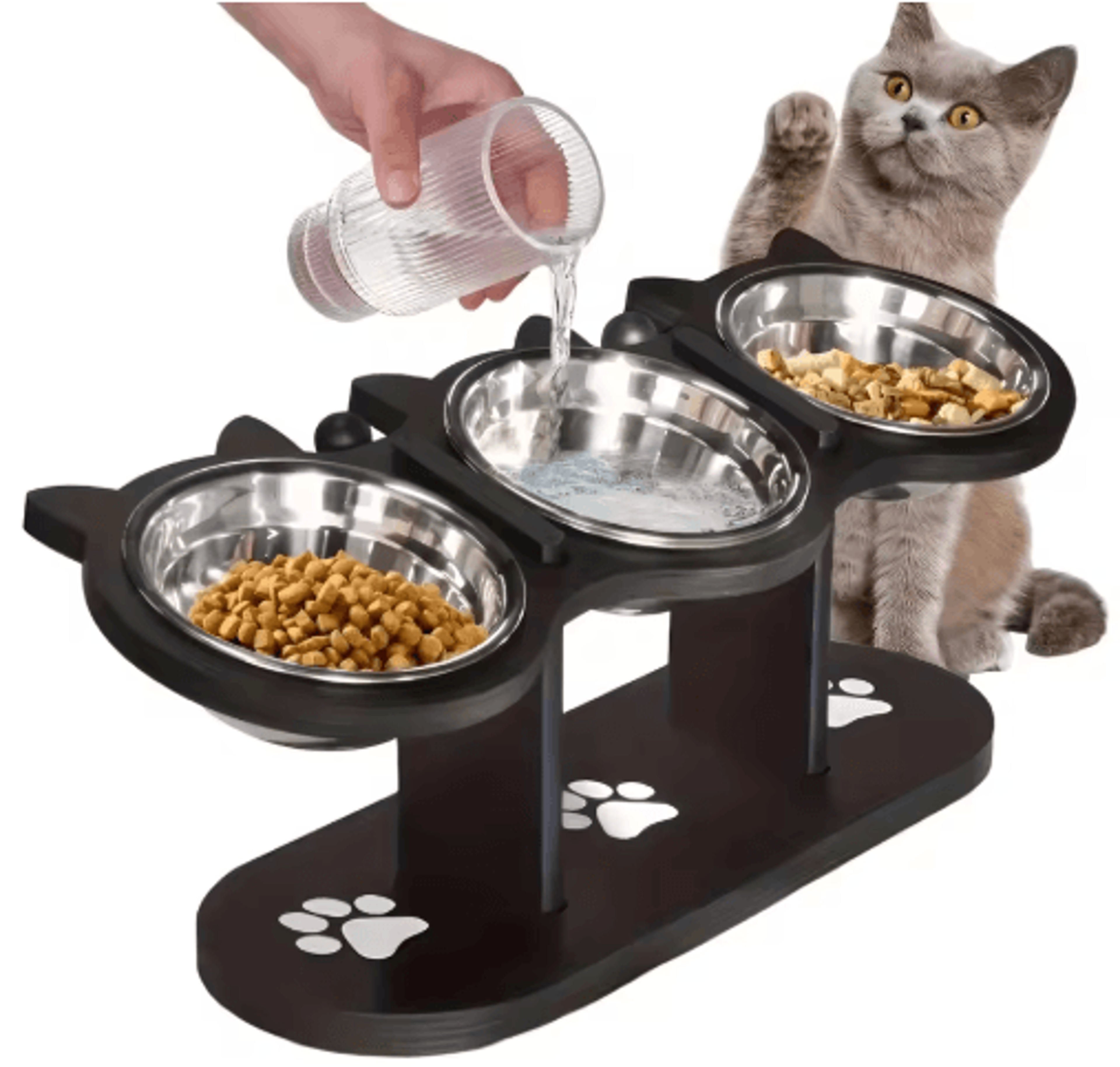 15° elevated cat bowl set – stainless steel feeding bowls with black wooden stand