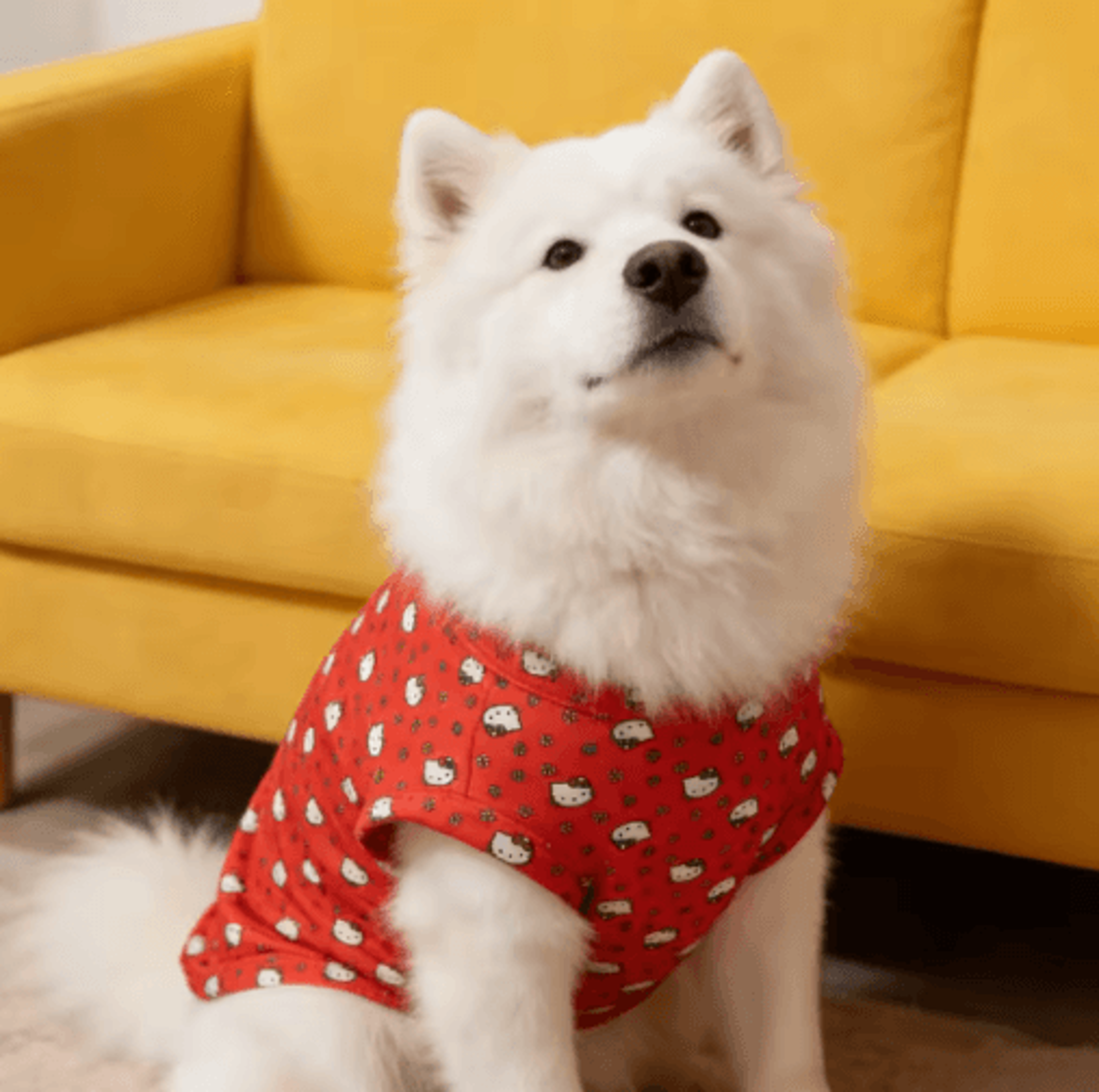 sanrio full body print pet vest – soft sleeveless t-shirt for cats & small dogs