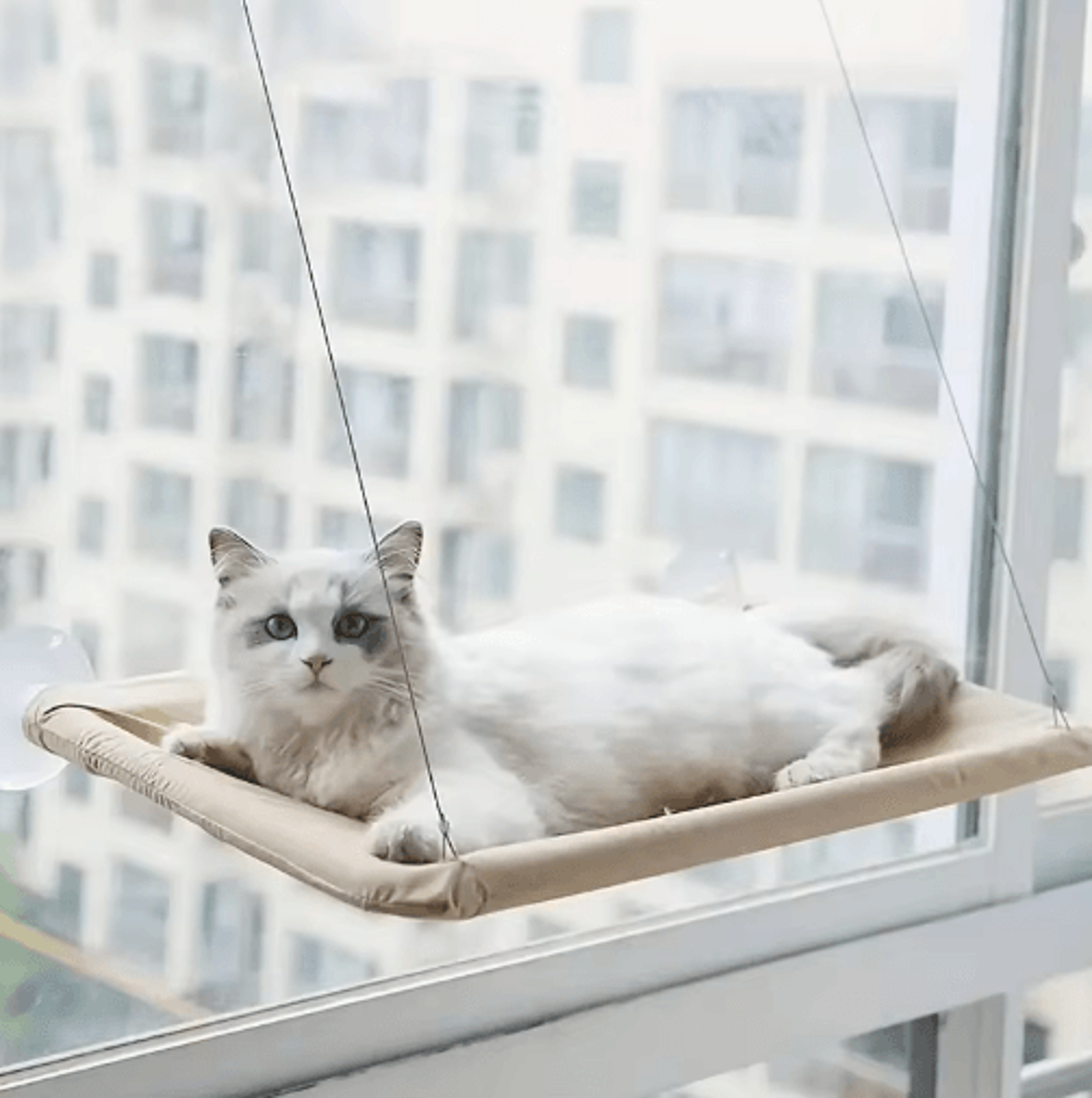 ultra-soft cloud-like cat window hammock bed for indoor cats