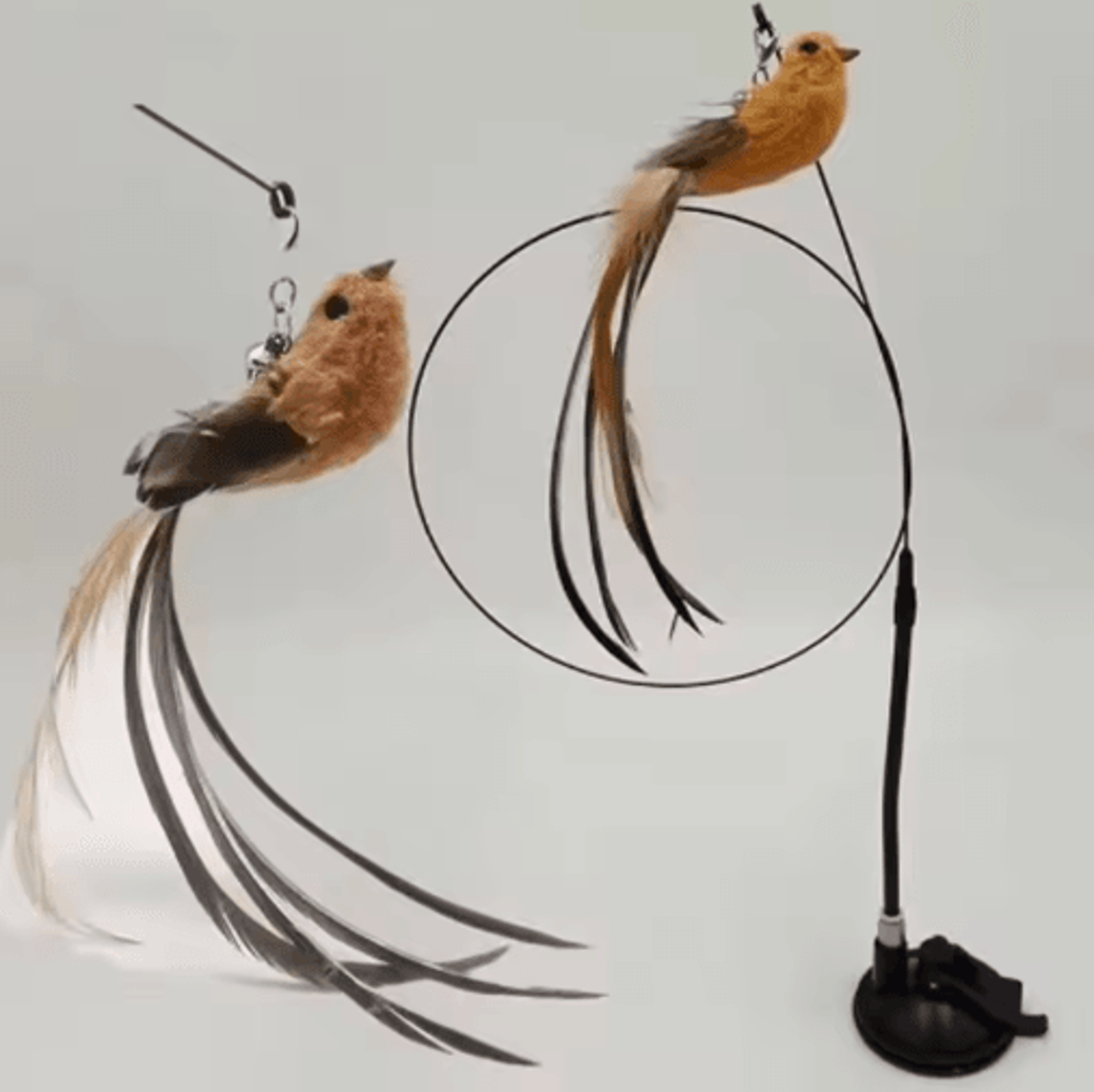 interactive feather suction cup cat teaser toy with bell