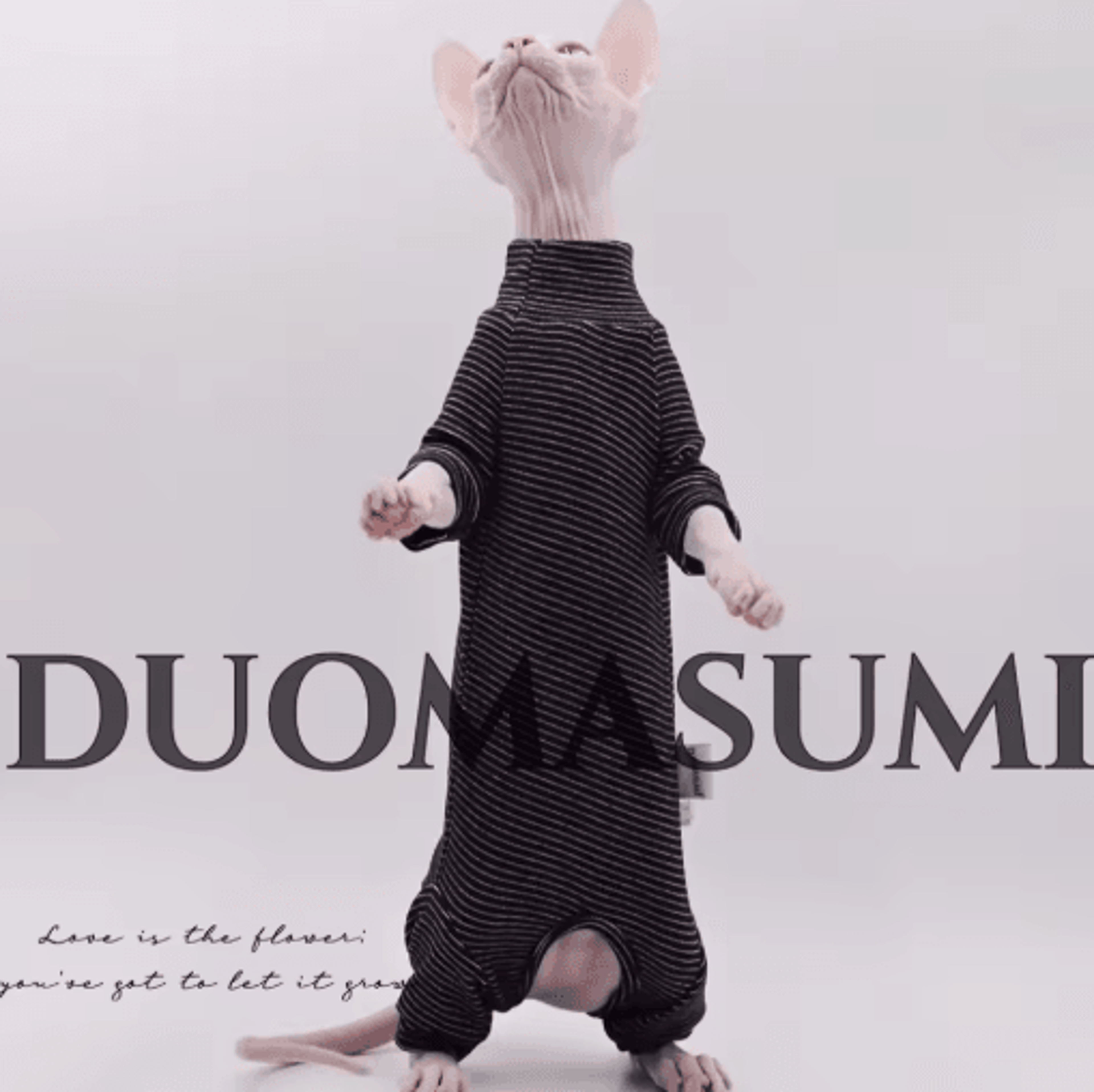 cozy four-legged cat jacket for sphynx & hairless cats