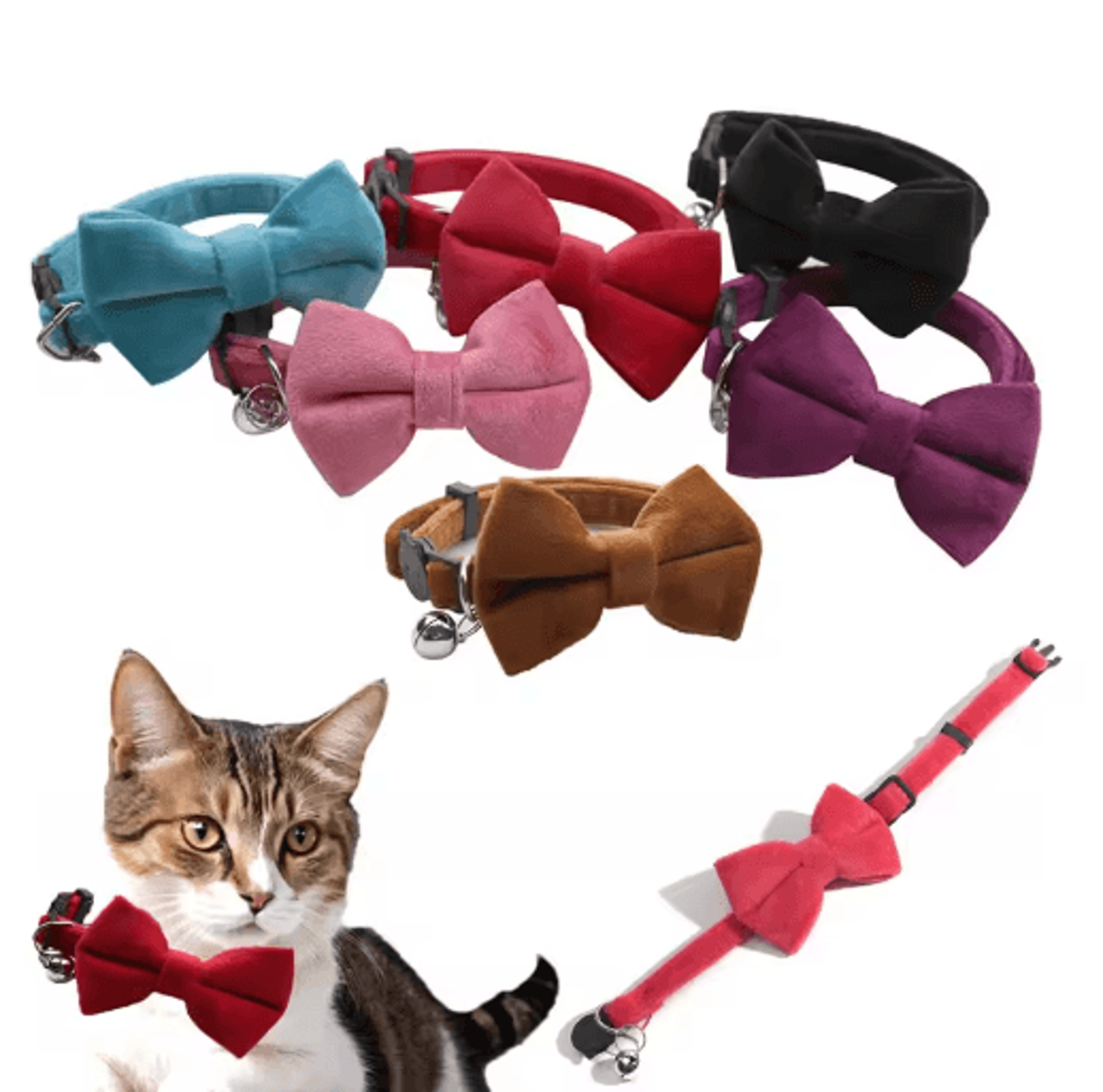 velvet bow tie cat collar with bell & safety buckle
