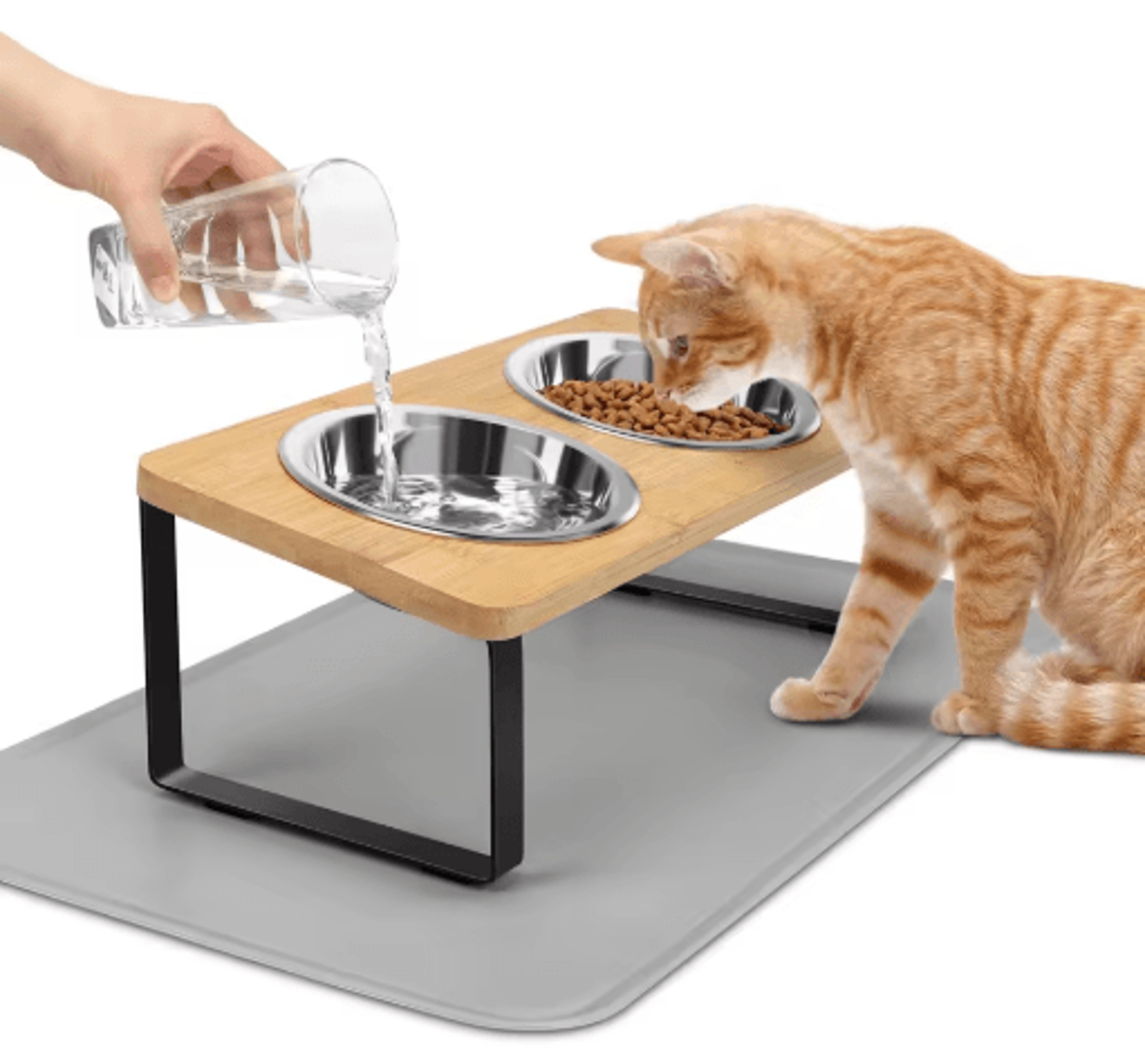 purrease elevated stainless steel cat bowls with 15° tilt & food mat