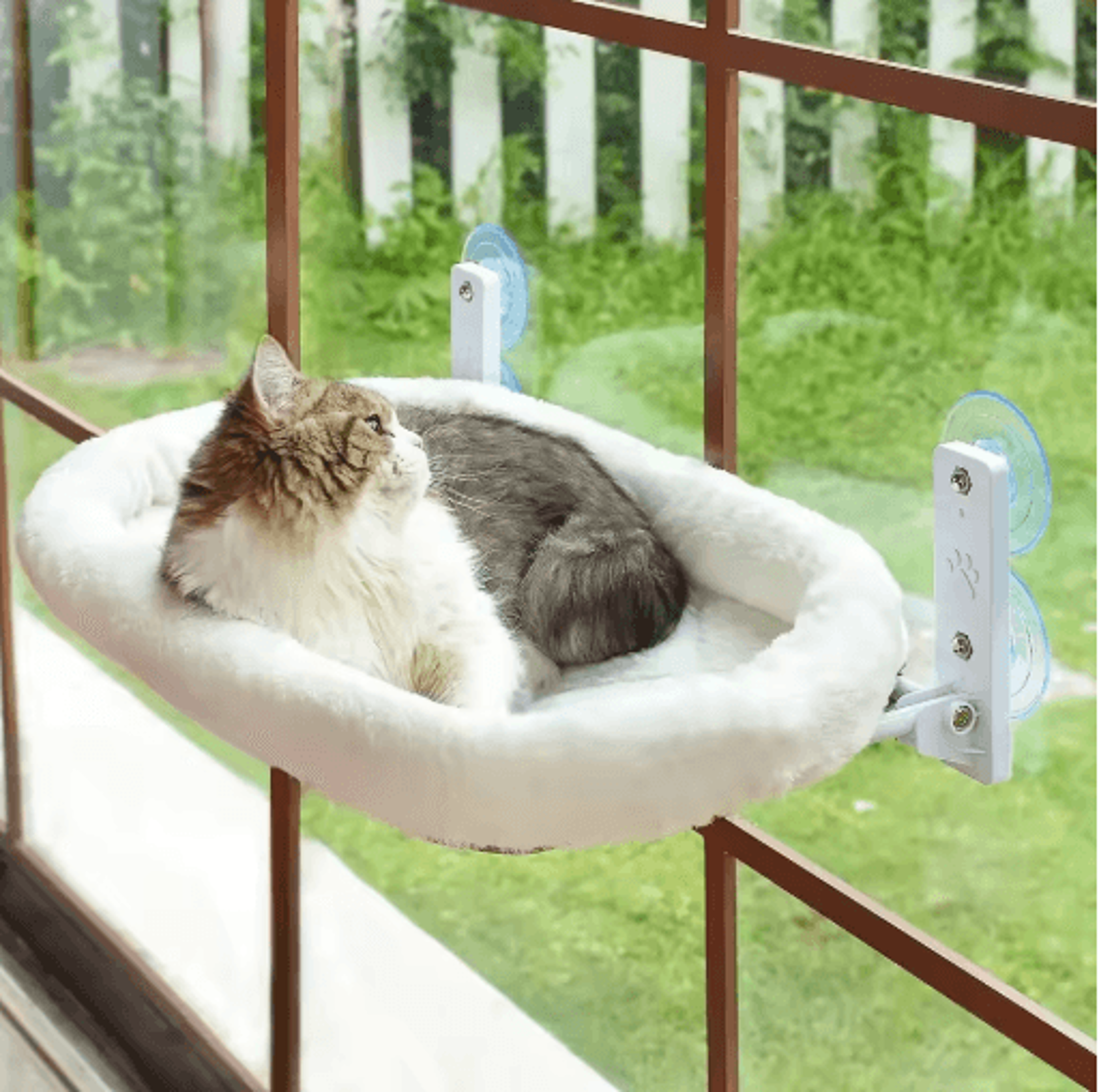 sunny perch window cat hammock – suction cup hanging sunbathing bed