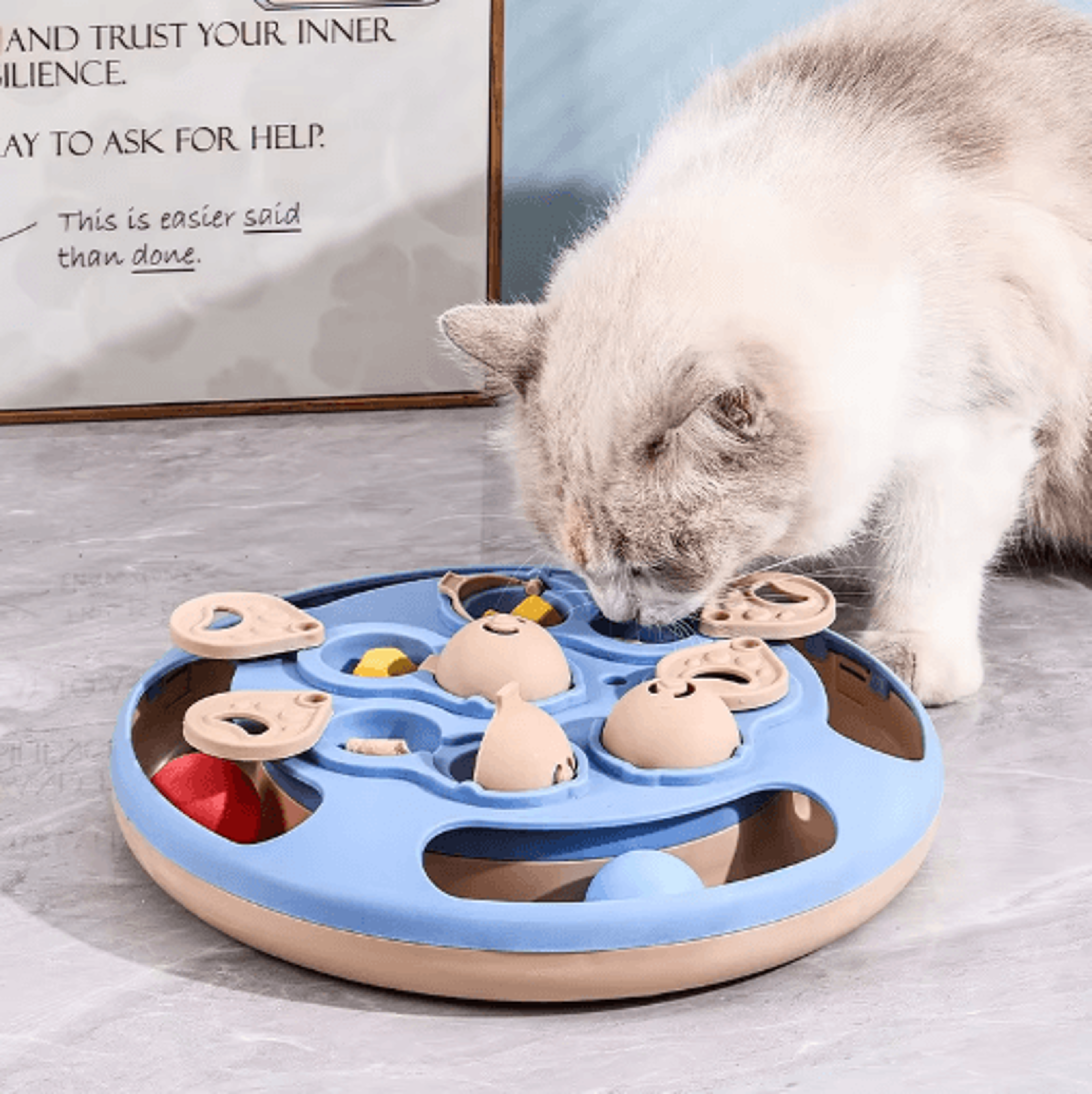 smart cat puzzle toy interactive slow feeder turntable for indoor cats