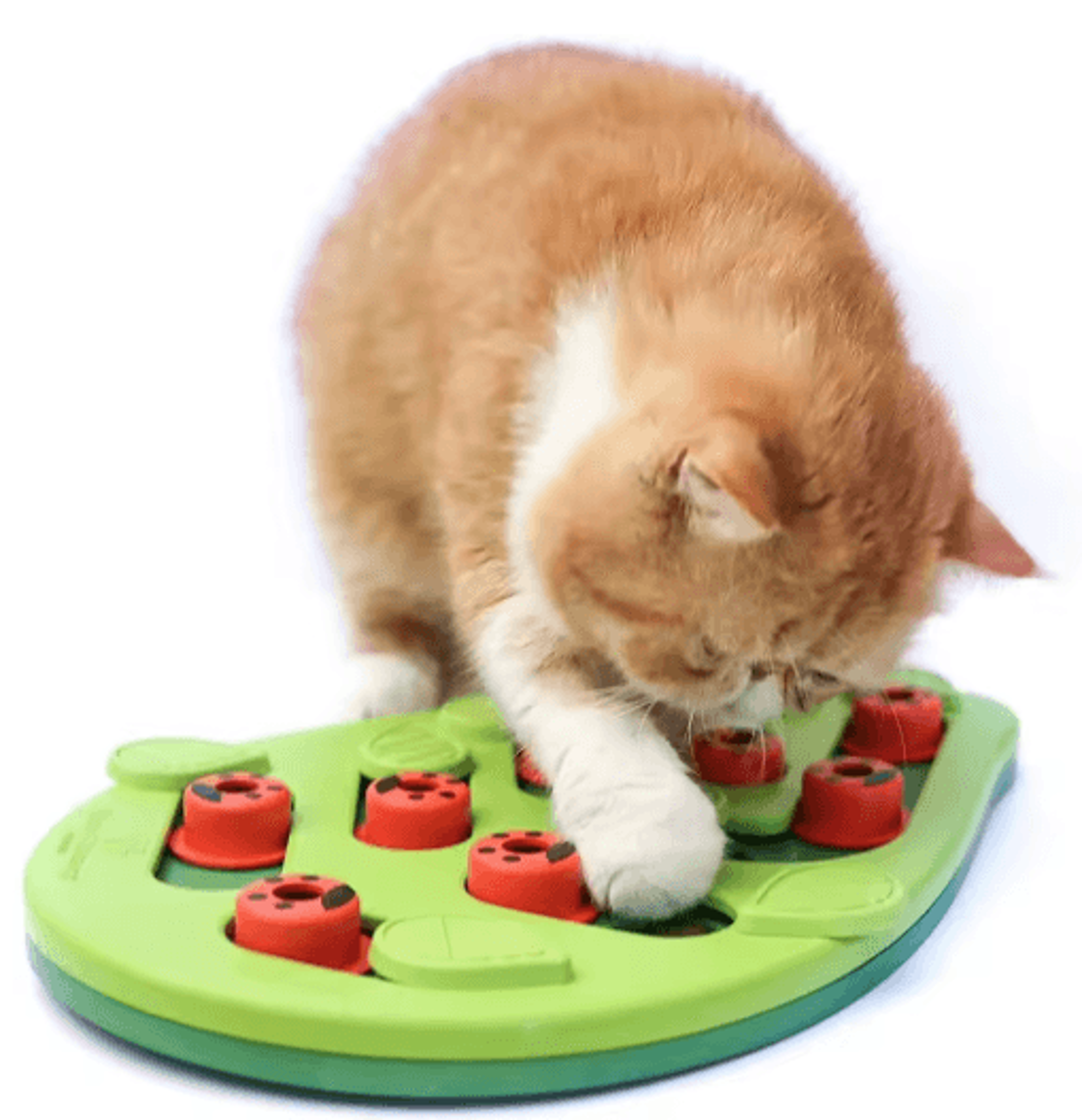 rainy day puzzle & play interactive cat treat puzzle & scratch board toy