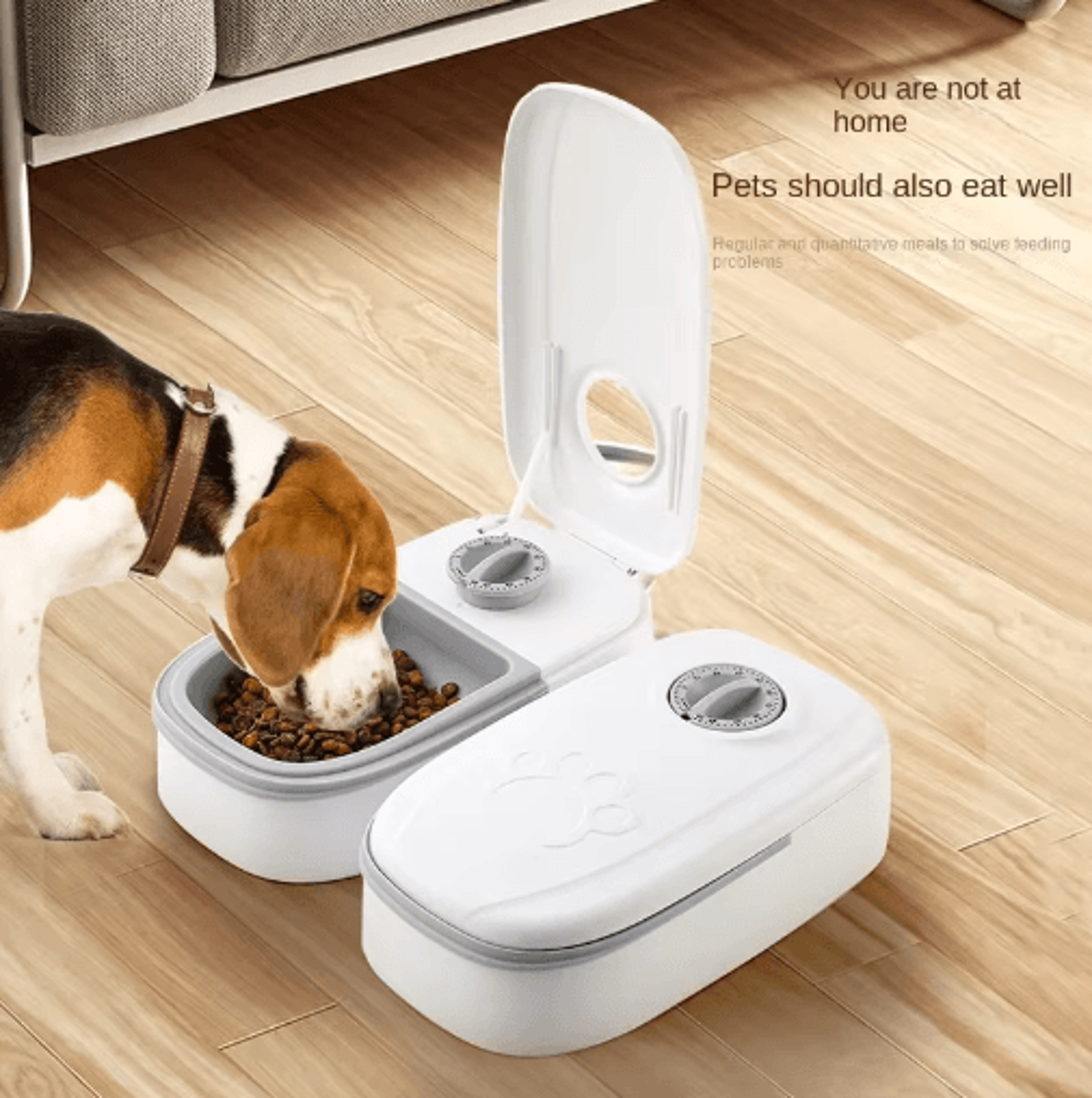 automatic pet feeder & water bowl with timer food storage dispenser