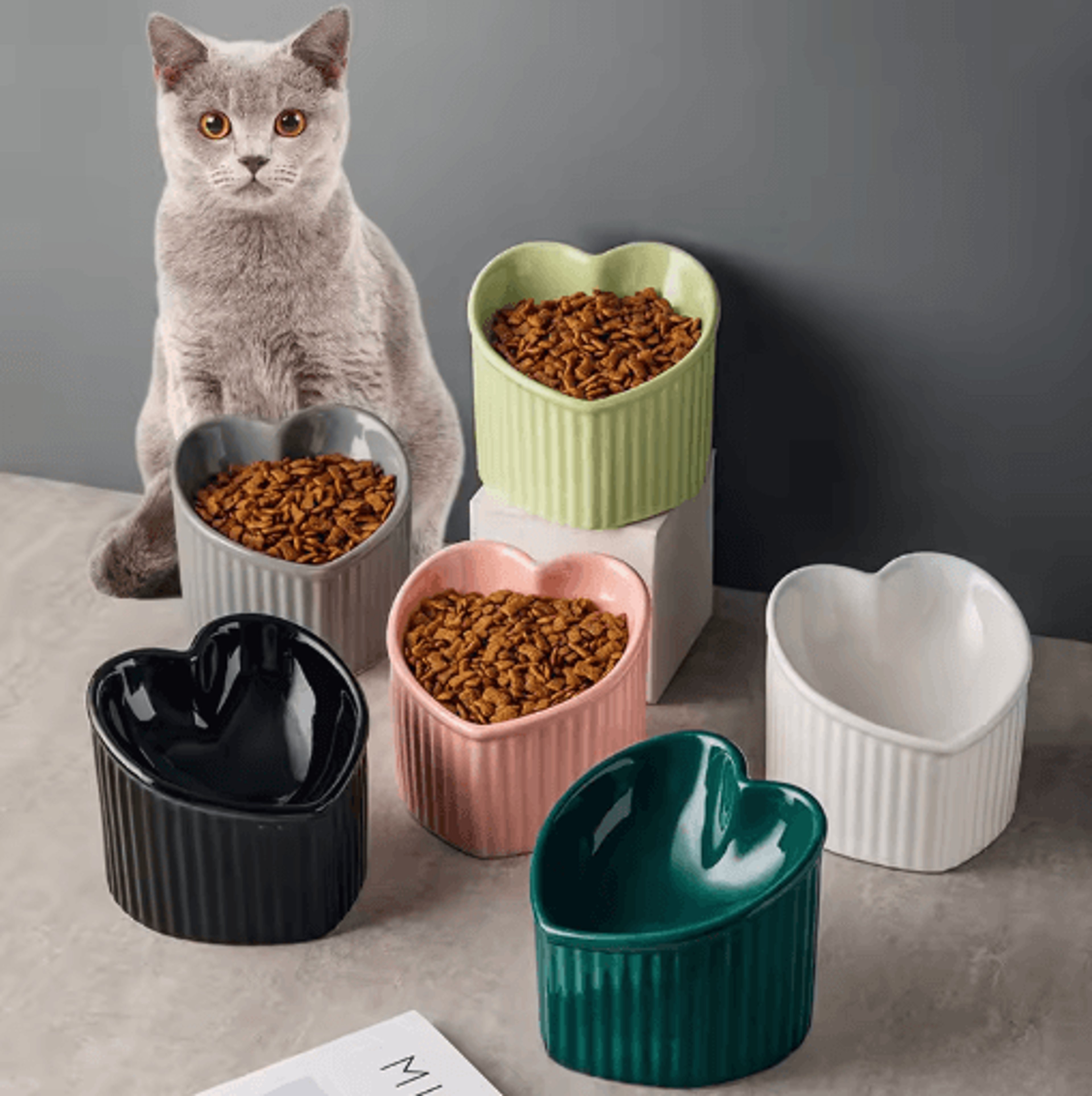 slanted ceramic cat bowl with elevated anti tip feeding stand