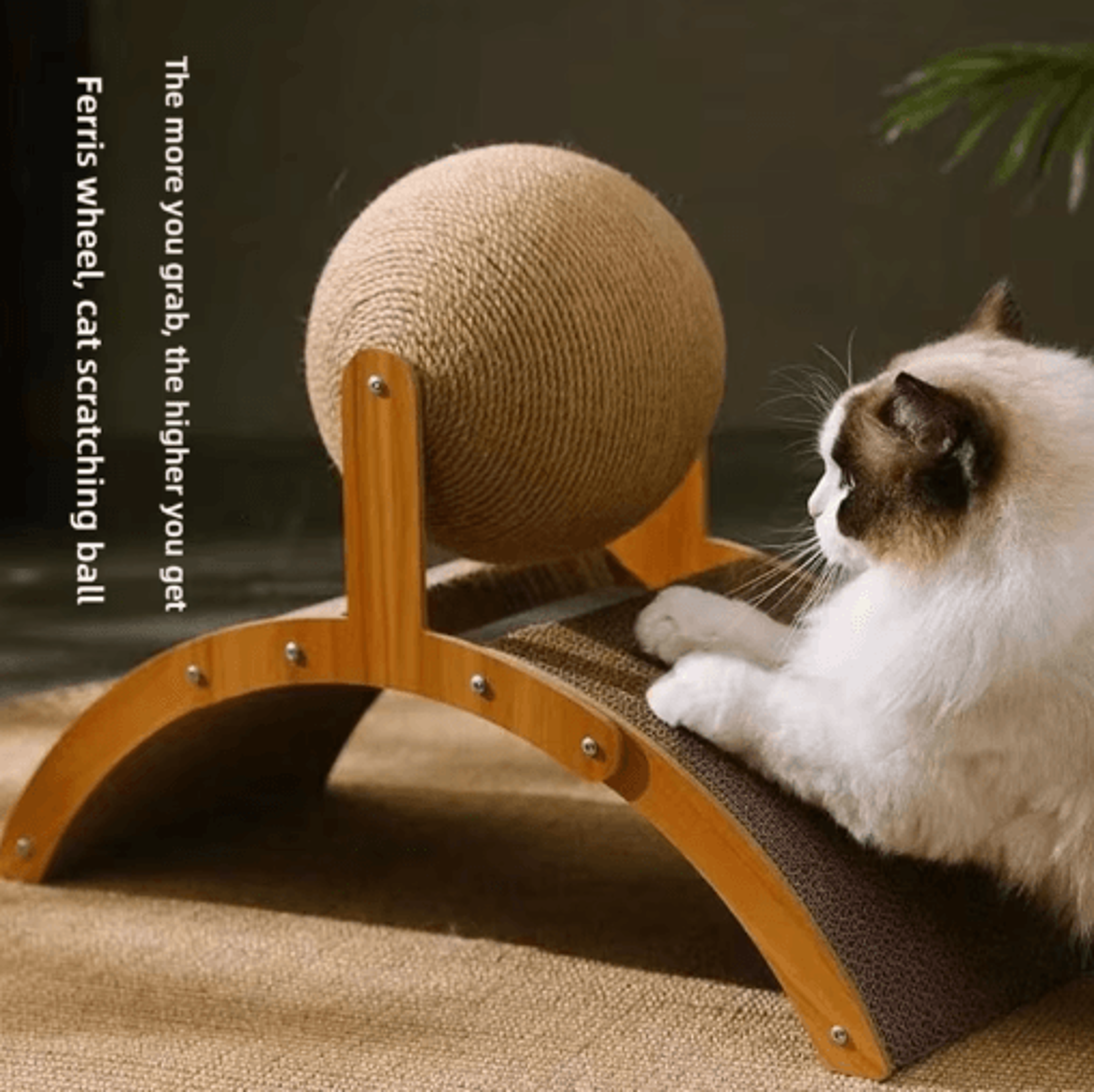 2-in-1 wooden cat scratching ball & sisal scratch board toy
