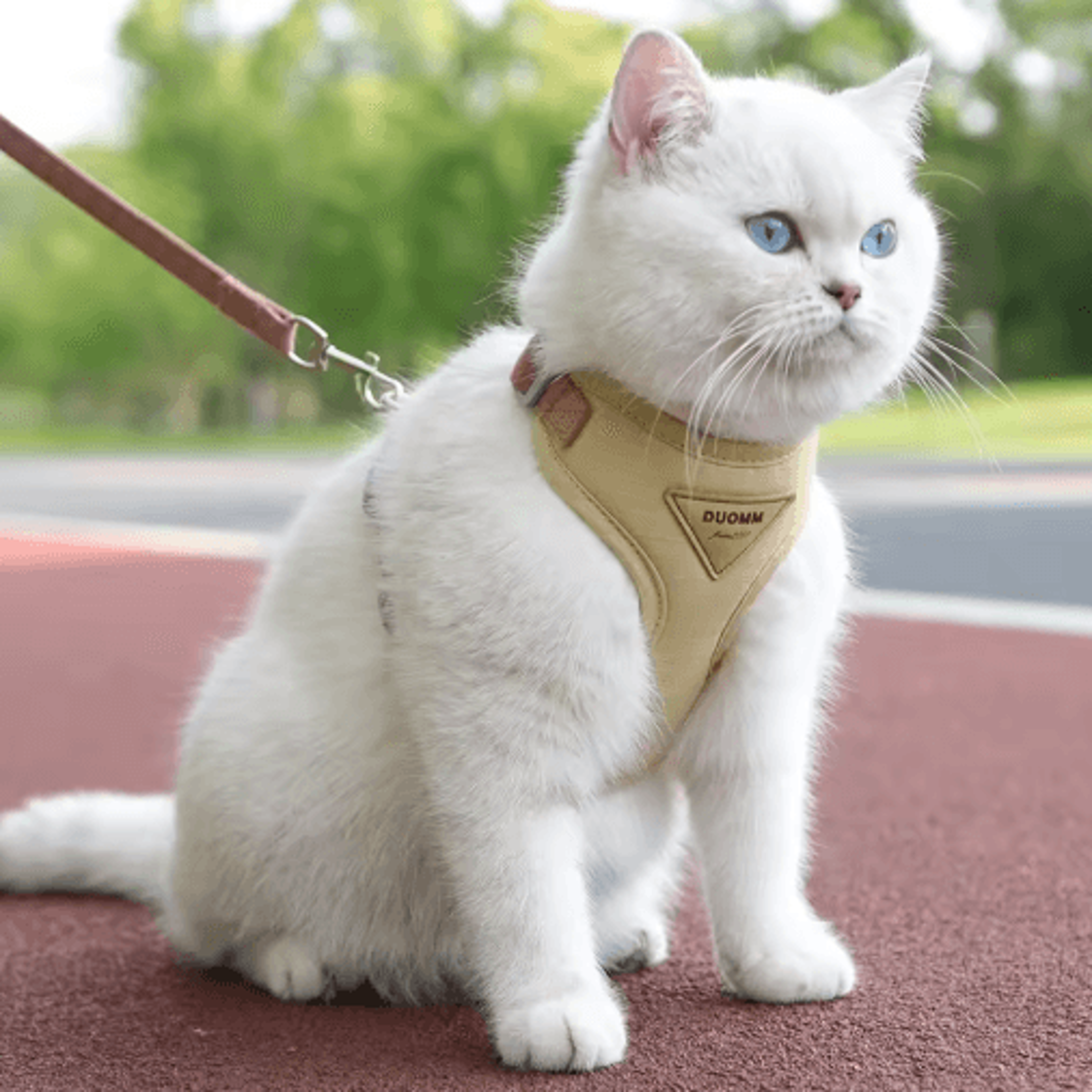 breathable cat harness and leash set – adjustable outdoor vest for cats & small dogs