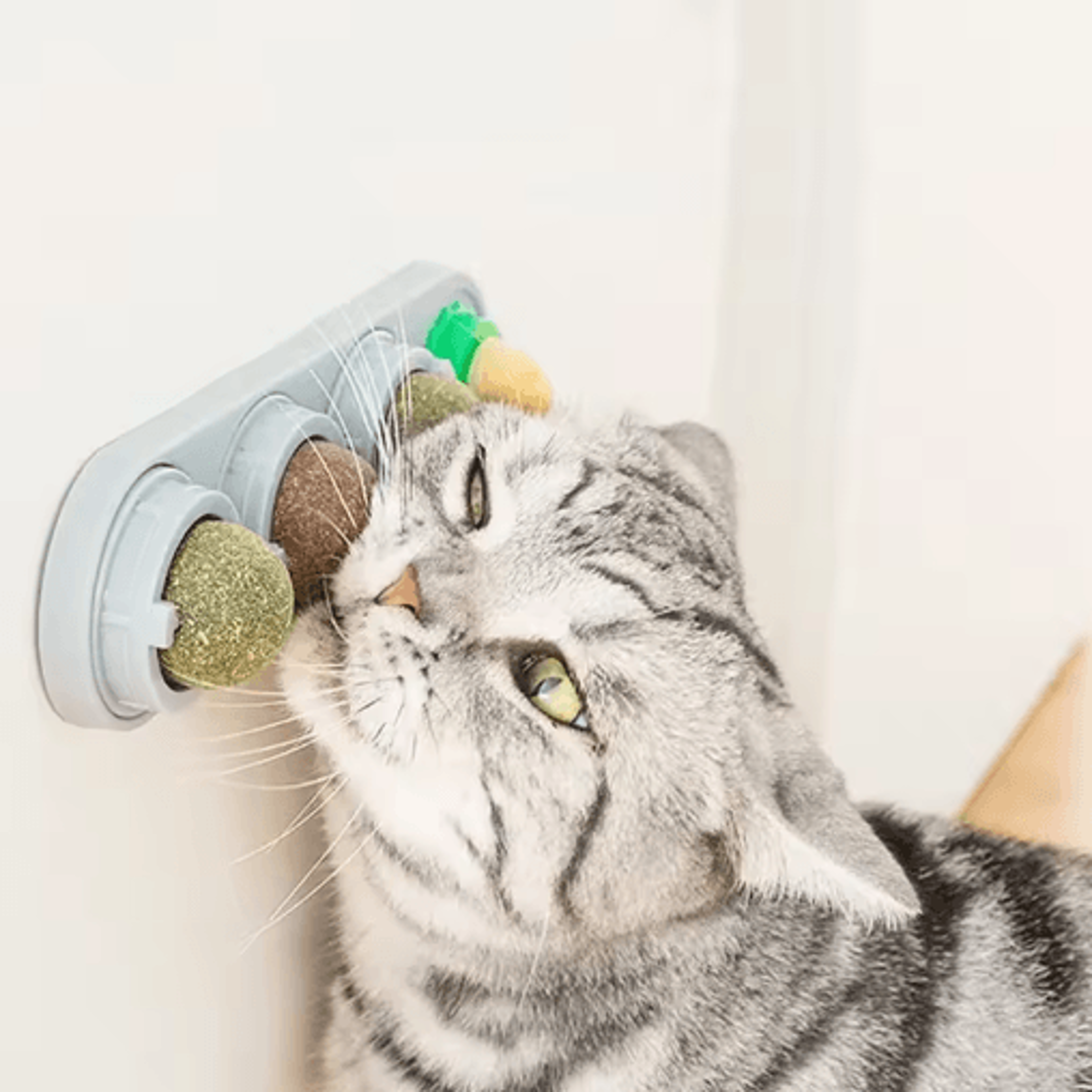 4-in-1 rotating catnip & silvervine ball toy – wall-mounted dental & interactive cat treat toy