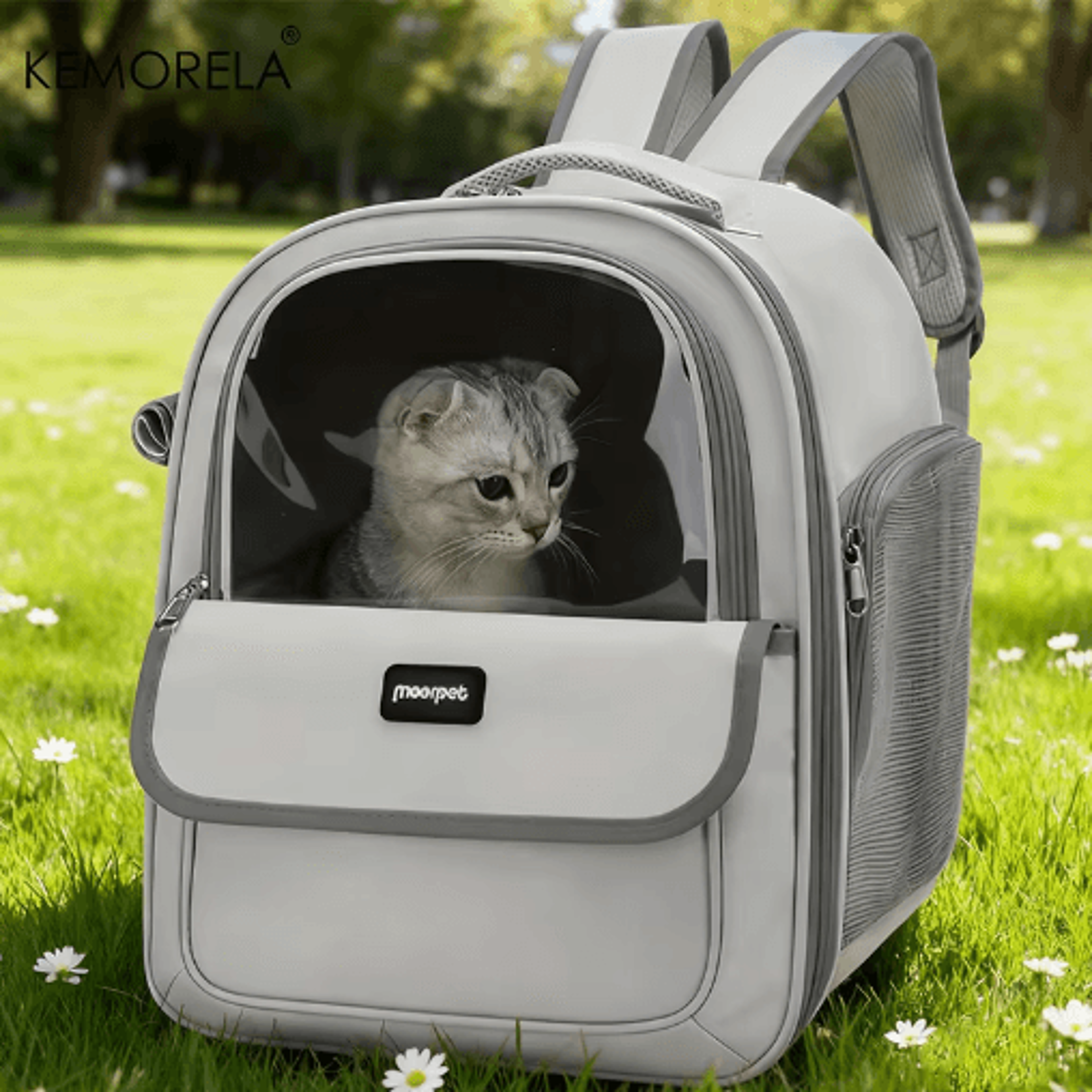 large capacity foldable pet carrier backpack – breathable travel backpack for cats & dogs