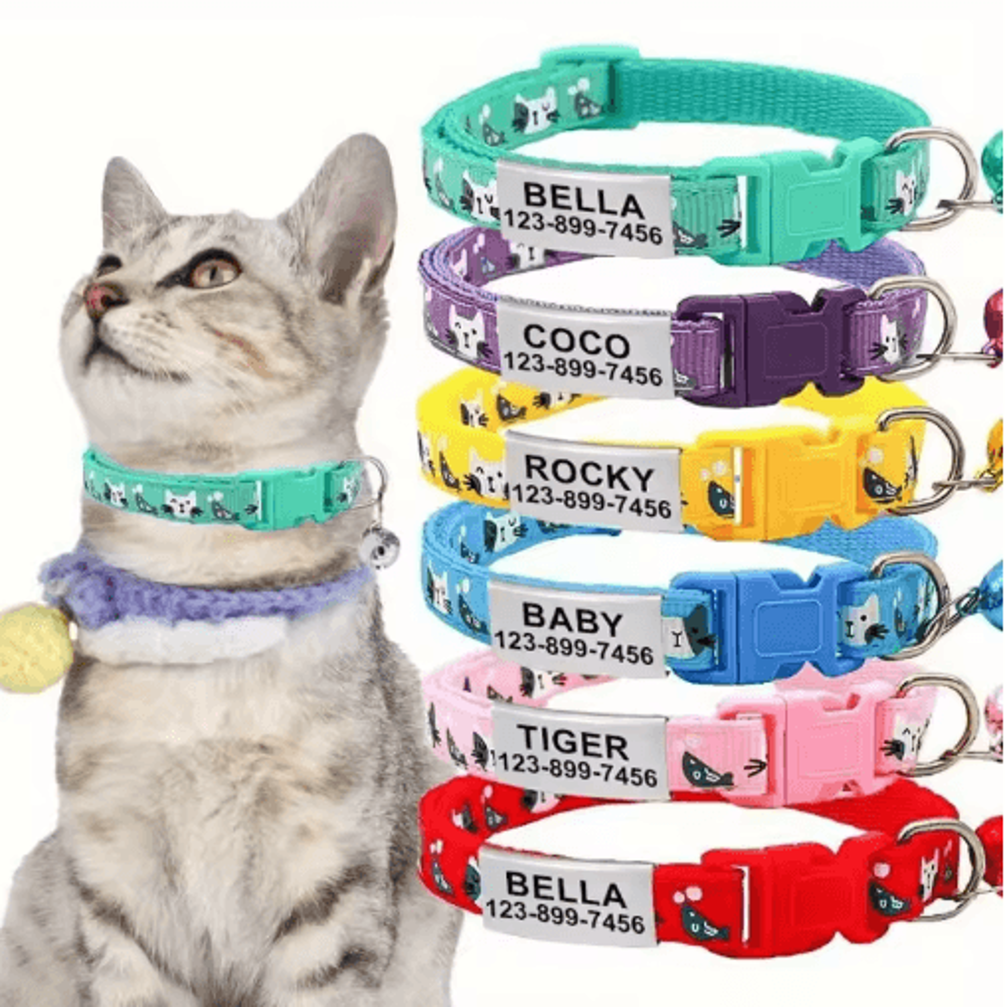 personalized cat collar with bell custom engraved name tag collar for cats & kittens