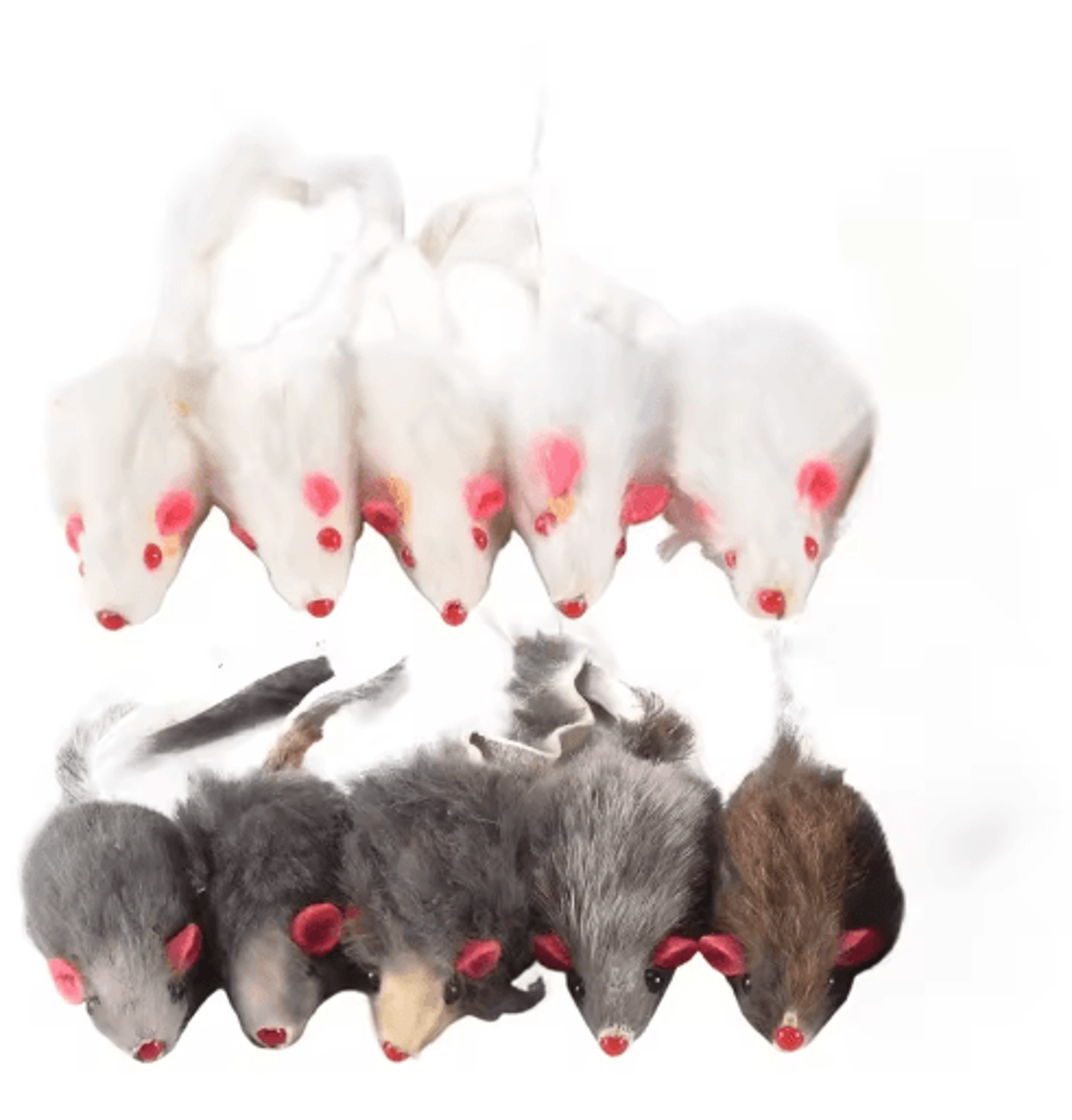 plush mouse cat toy 10-pack cat toys for hunting chasing & interactive play