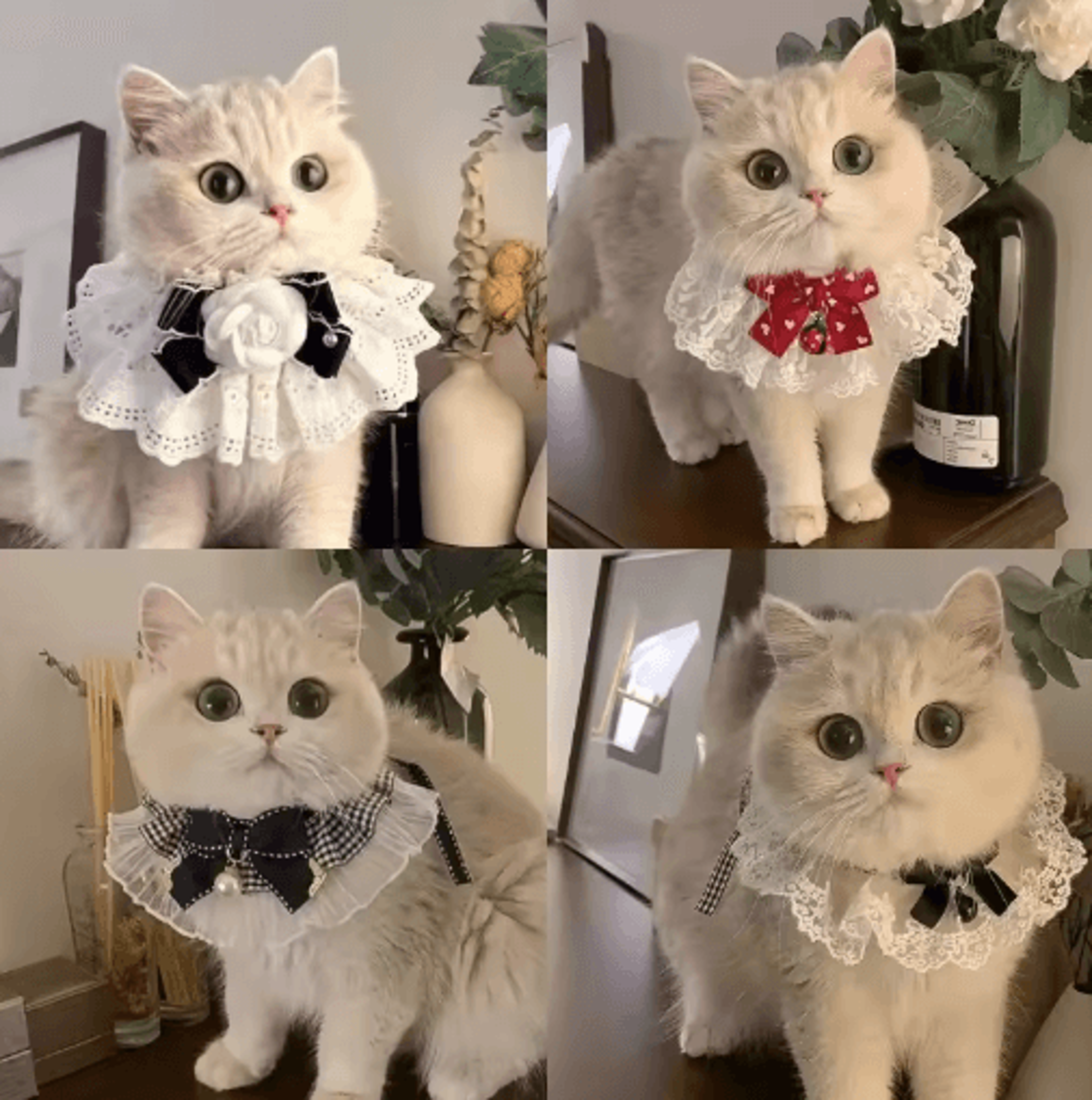 princess lace pet collar with bow & bell – pet collar for cats & small dogs