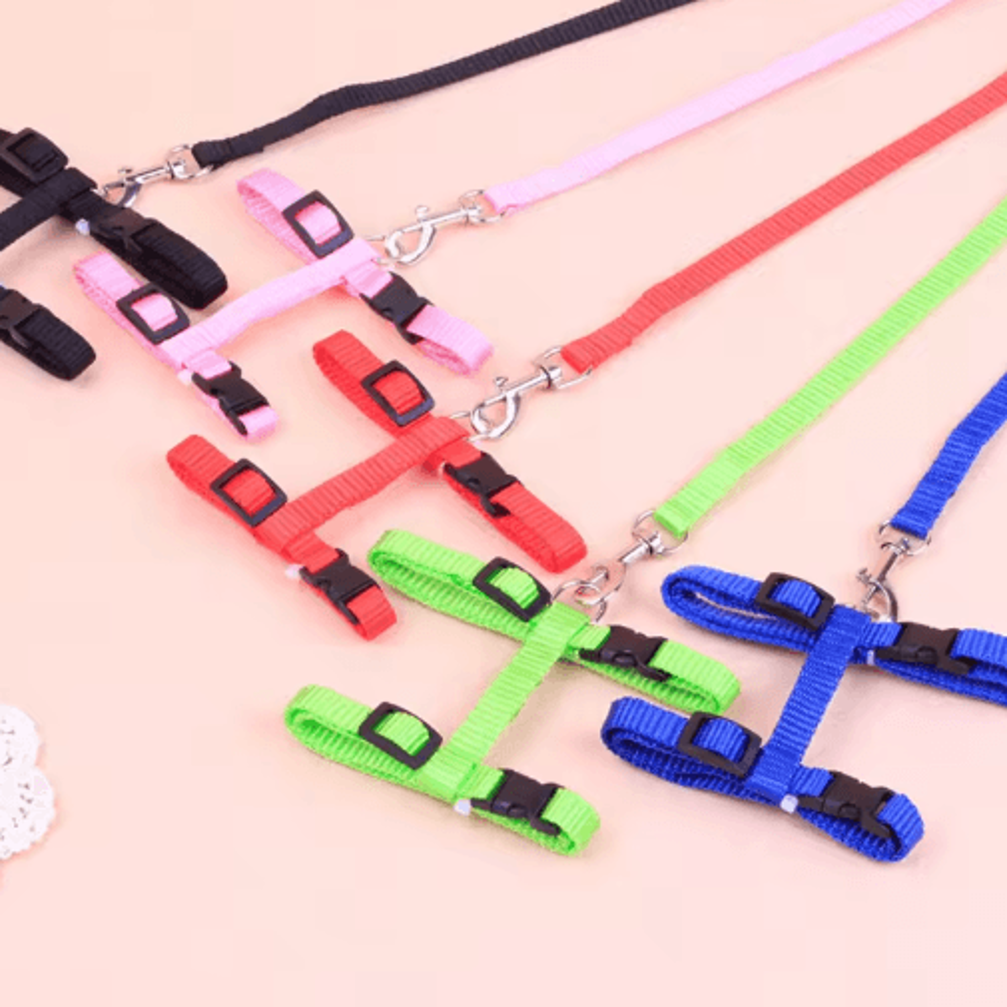 securefit nylon cat harness and leash set for everyday adventures