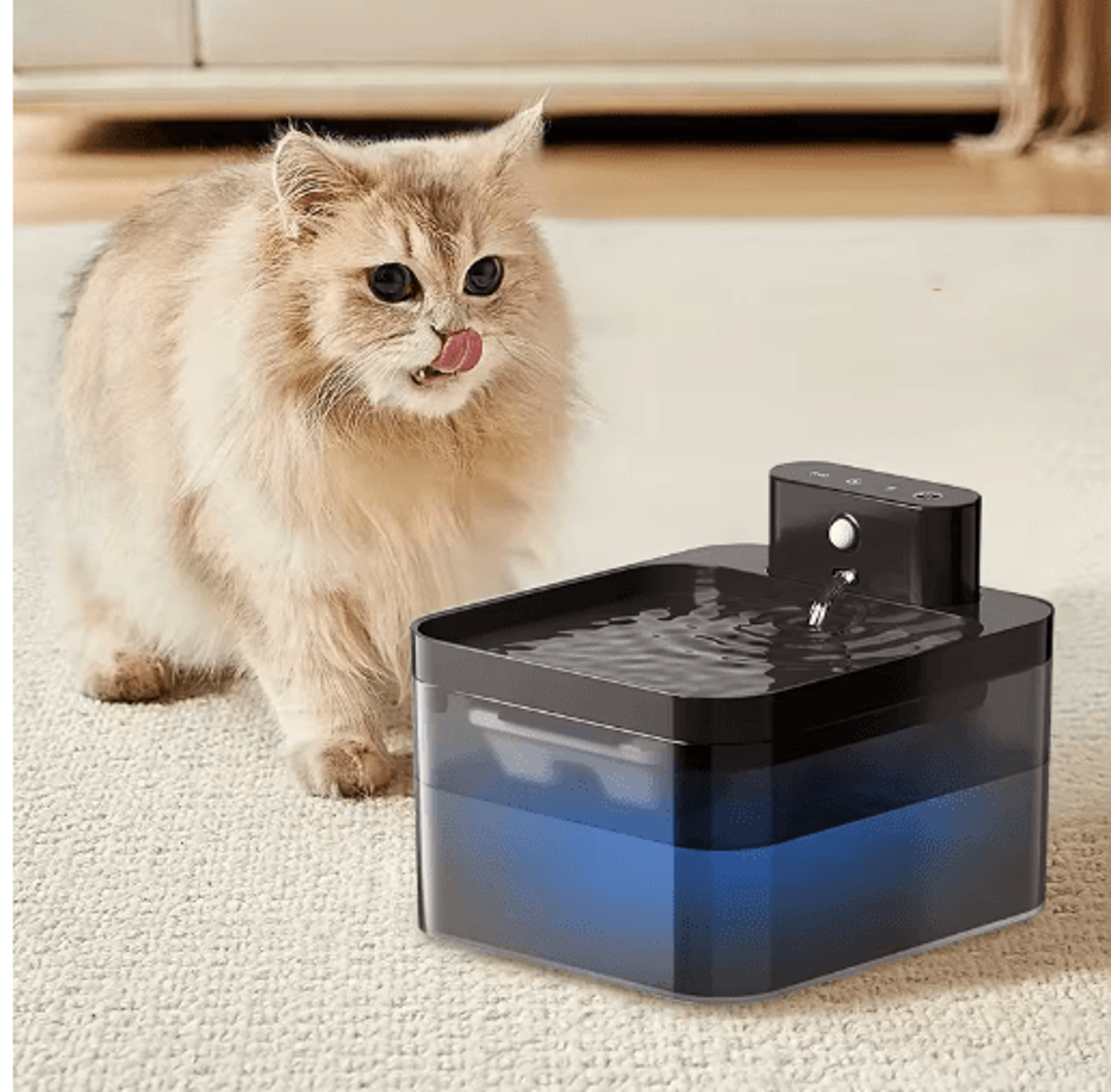 aquasense 2.2l wireless automatic pet water fountain with infrared sensor
