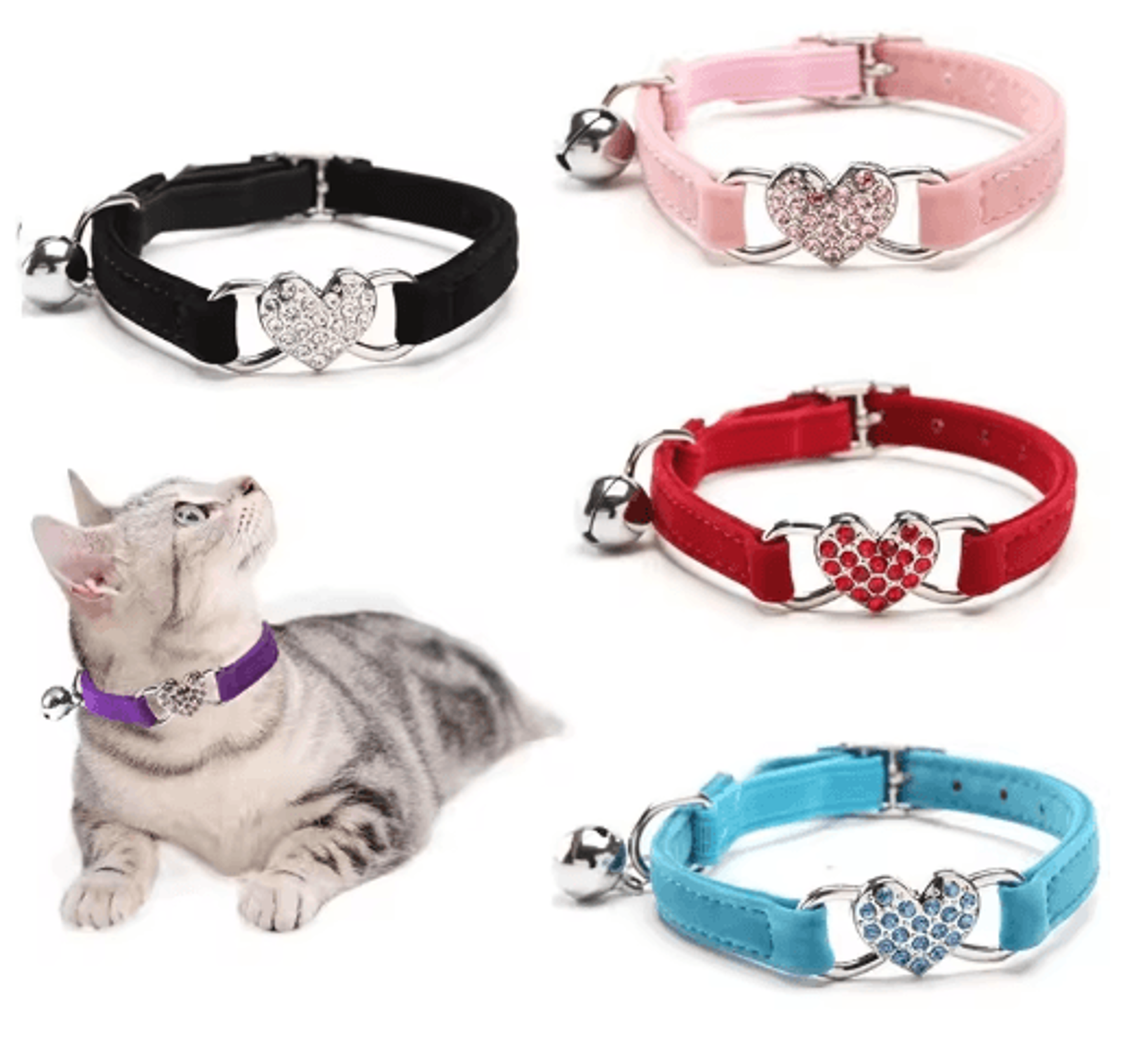 safepurr breakaway cat collar with bell for kittens & cats