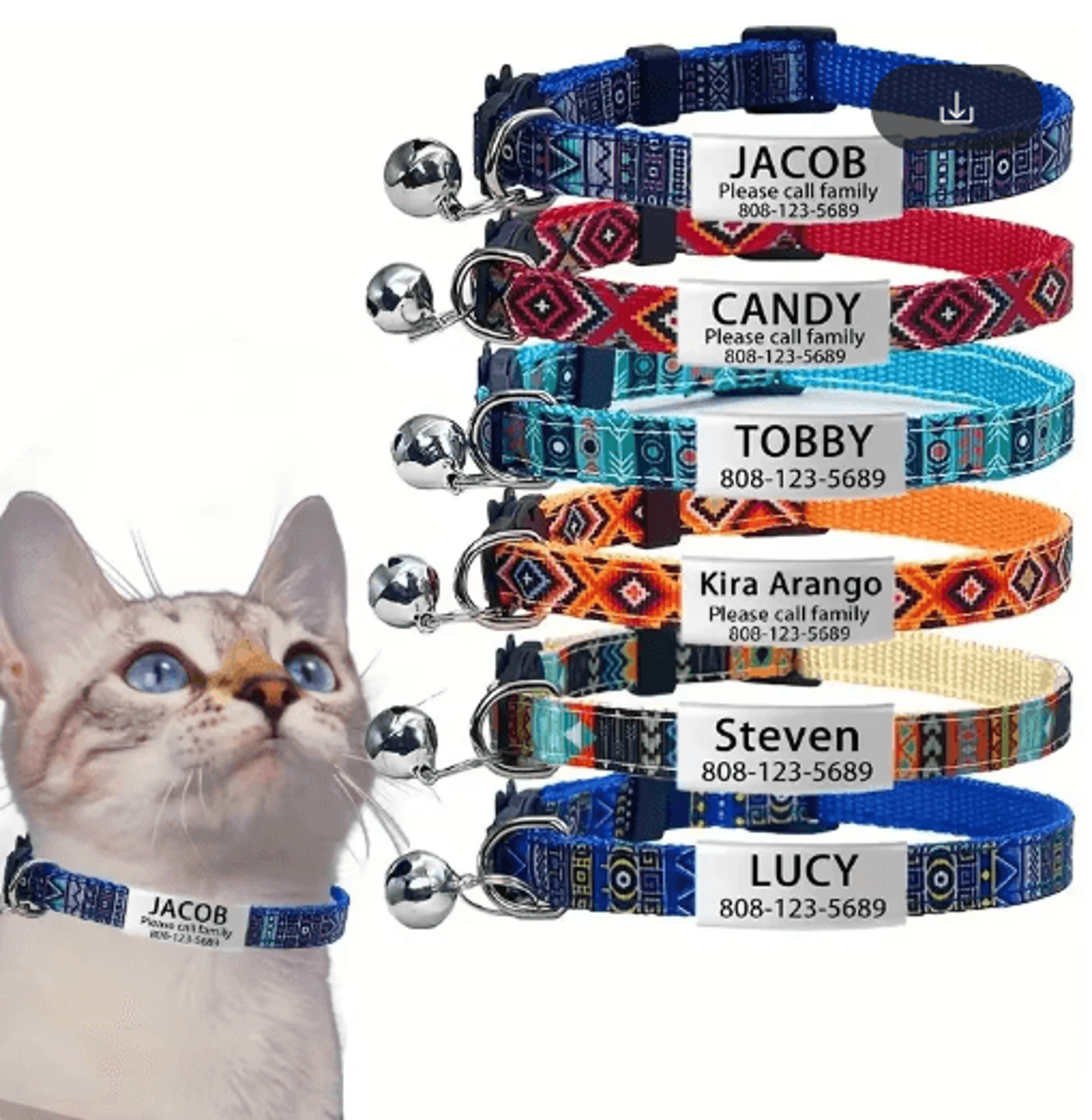 personalized engraved cat collar with bell & safety breakaway id