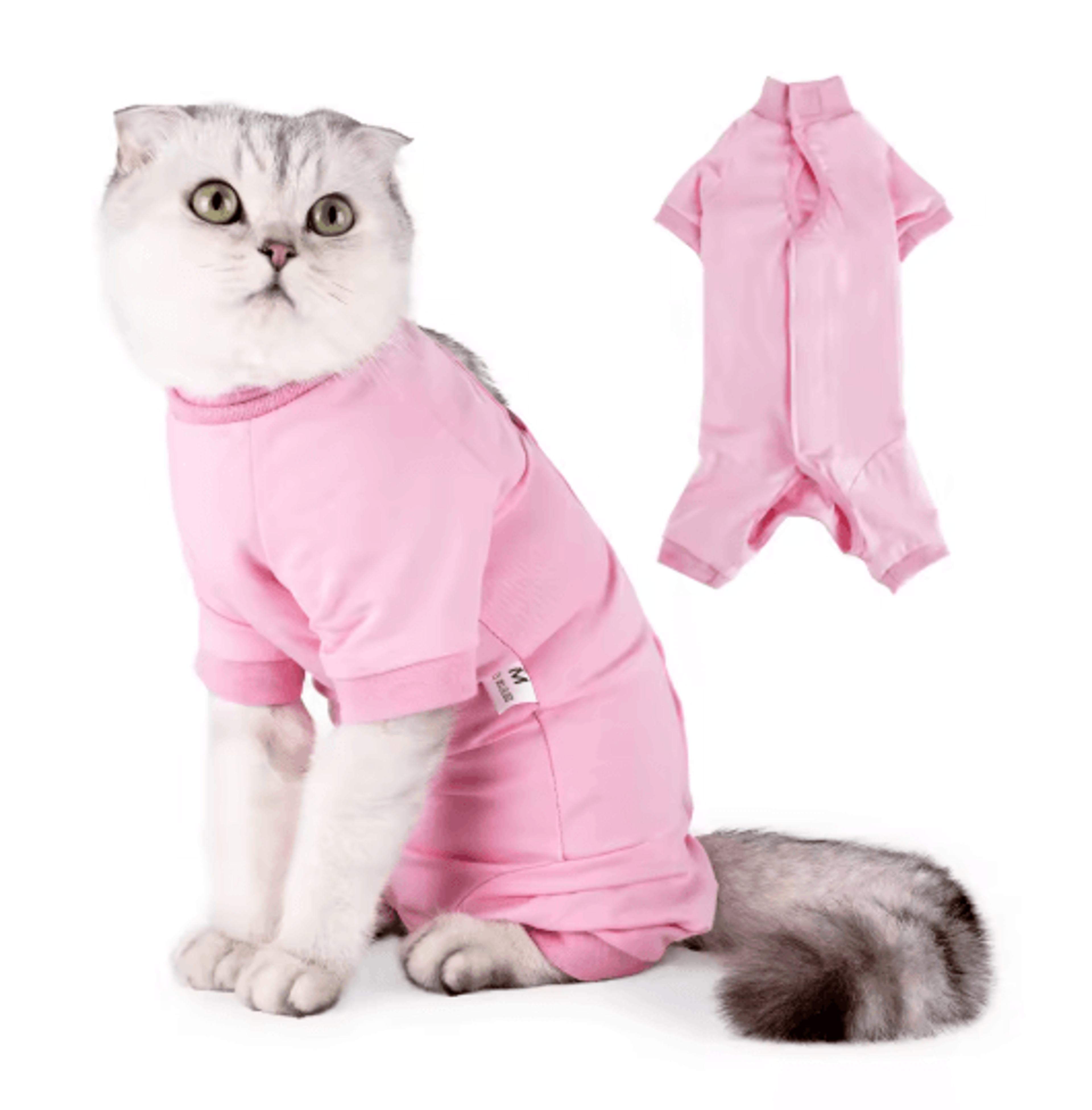 comfort shield cat recovery suit for post-surgery healing & protection