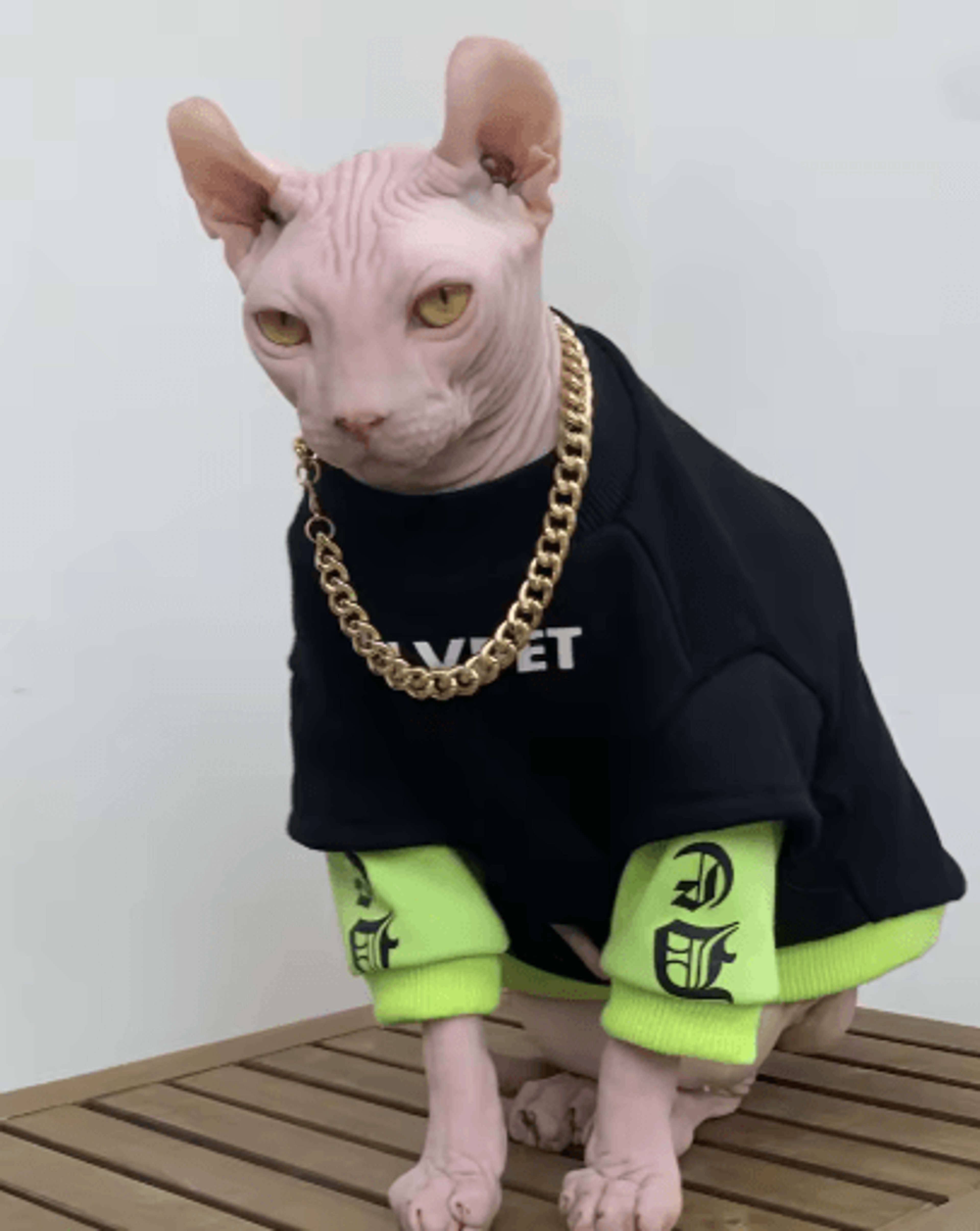 warm cotton sweatshirt for sphynx cats and devon rex cats