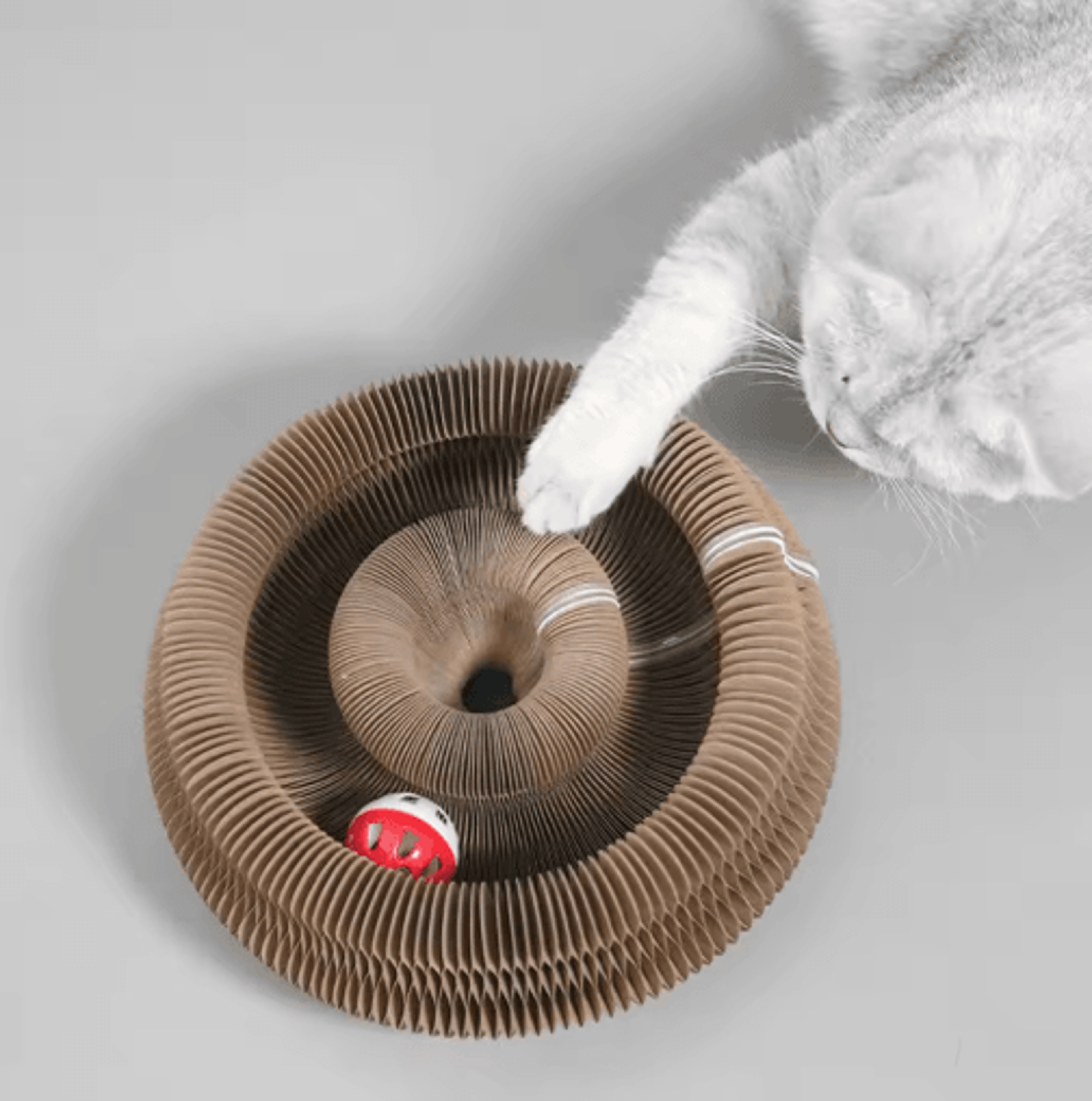 foldable magic organ cat scratcher toy with corrugated scratch board