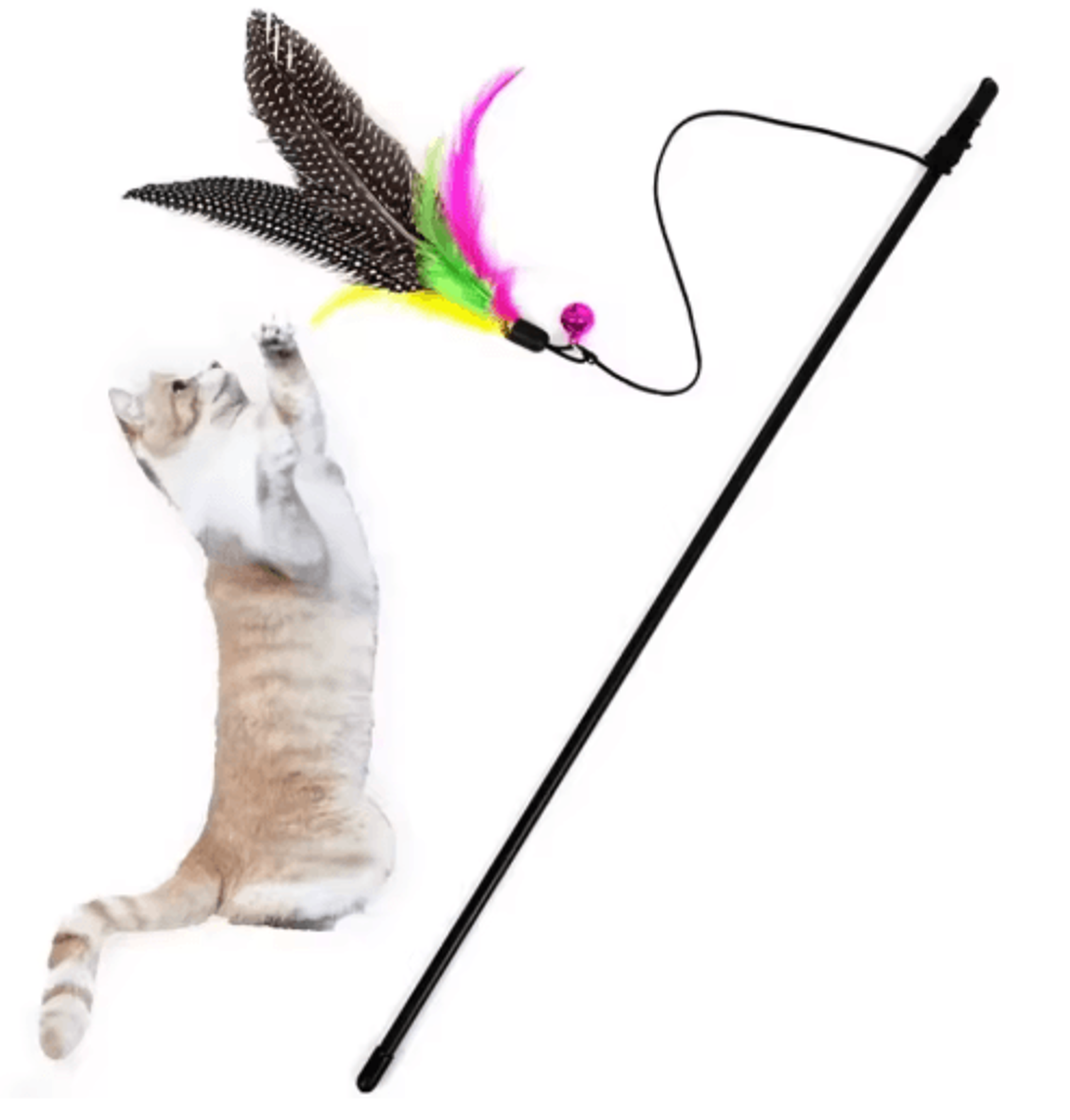 interactive cat teaser wand with feather and bell for active play