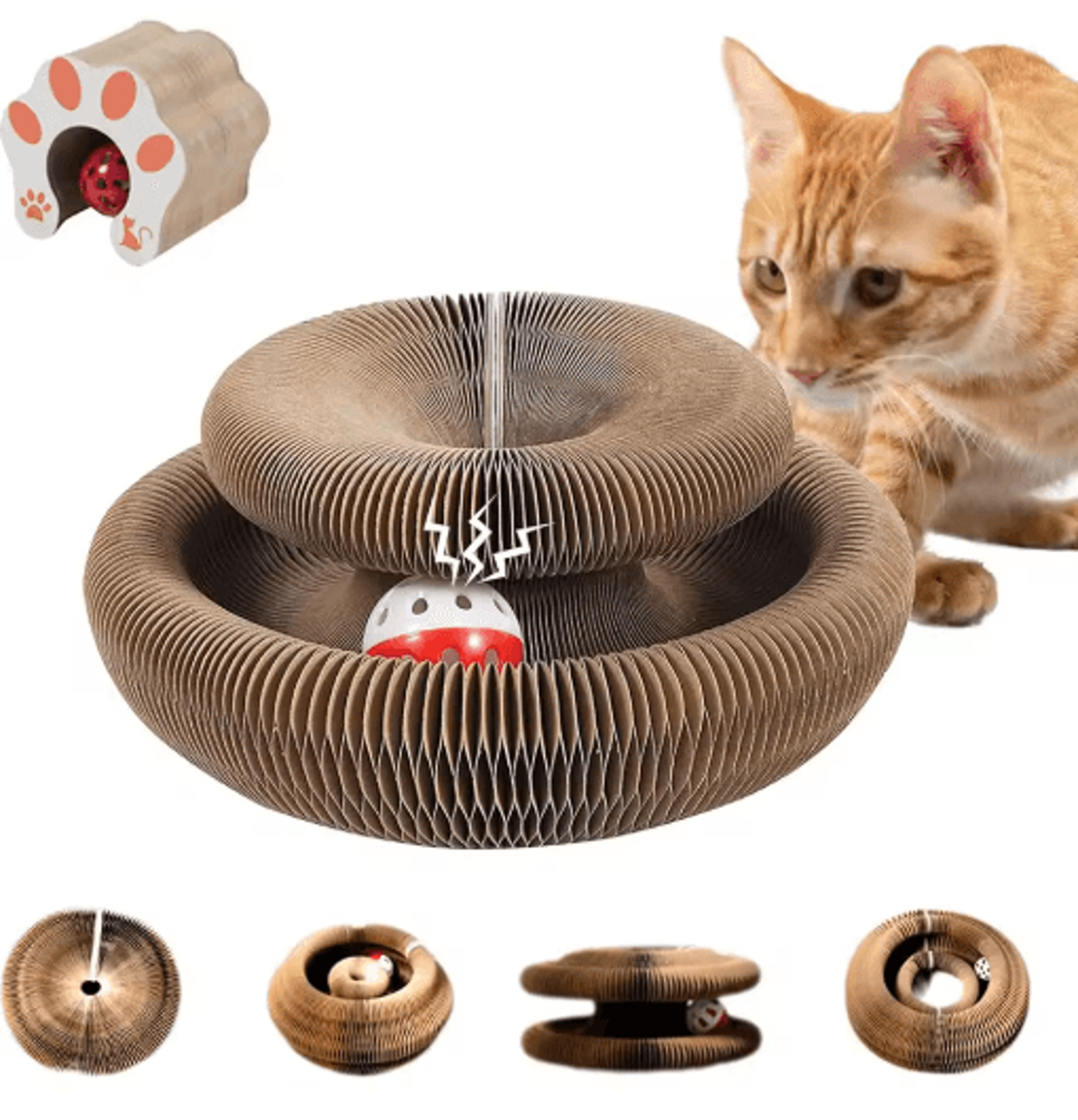 magic organ cat scratching board – interactive accordion scratcher toy for indoor cats