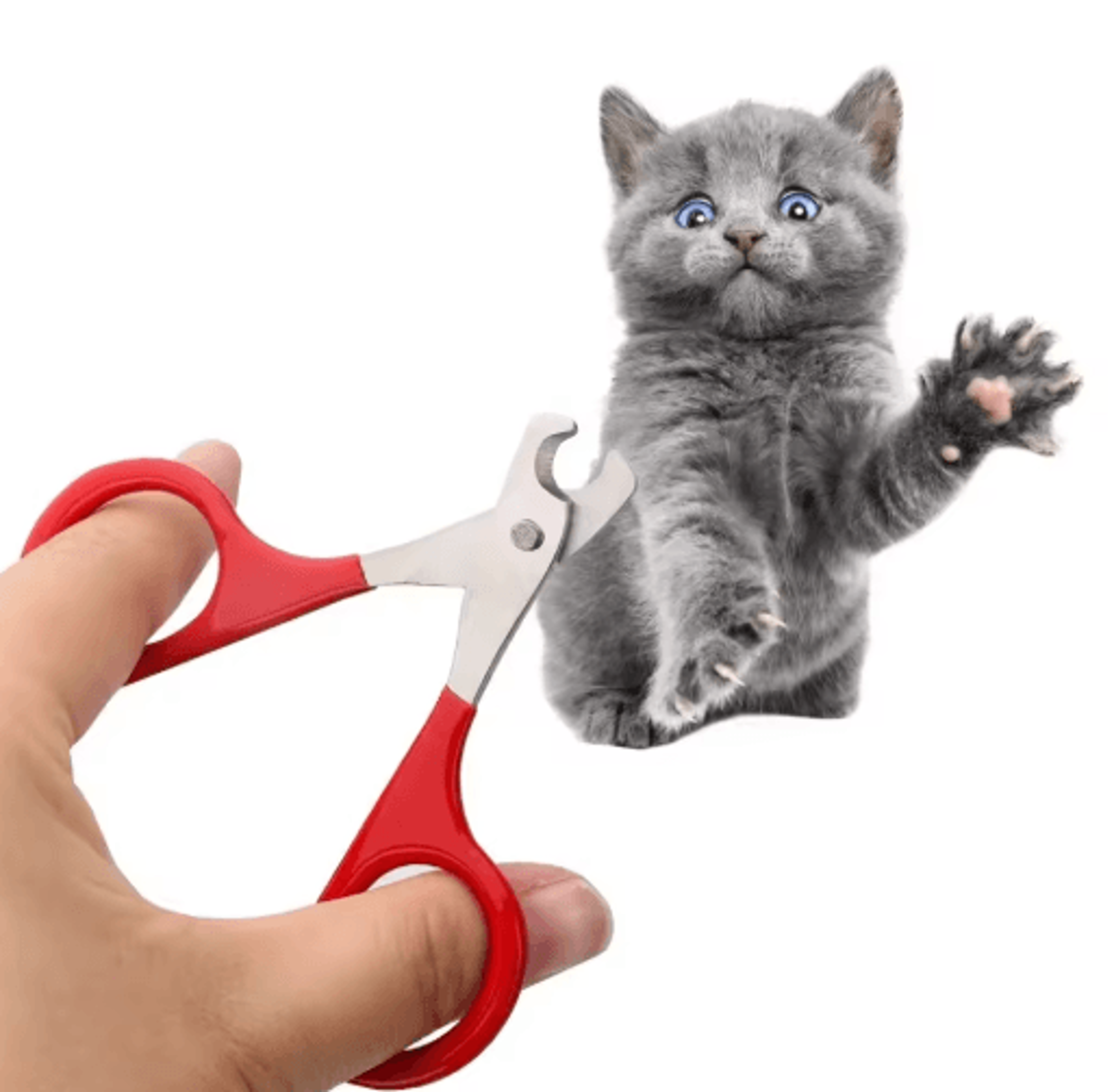 professional pet nail clippers – precision grooming trimmer for cats and small dogs