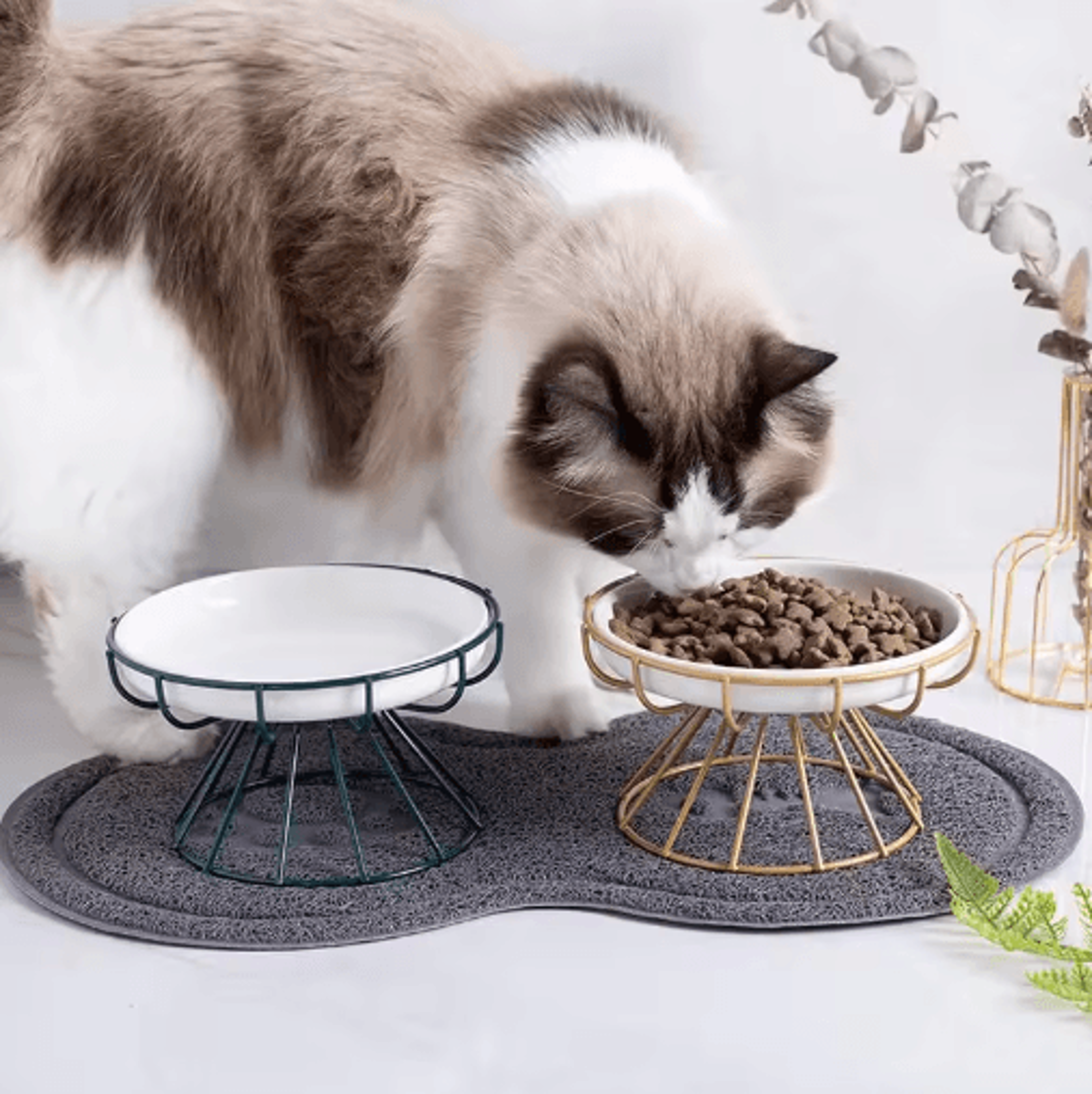 elevated ceramic pet bowl with metal stand comfortable feeding & drinking dish for cats and small dogs