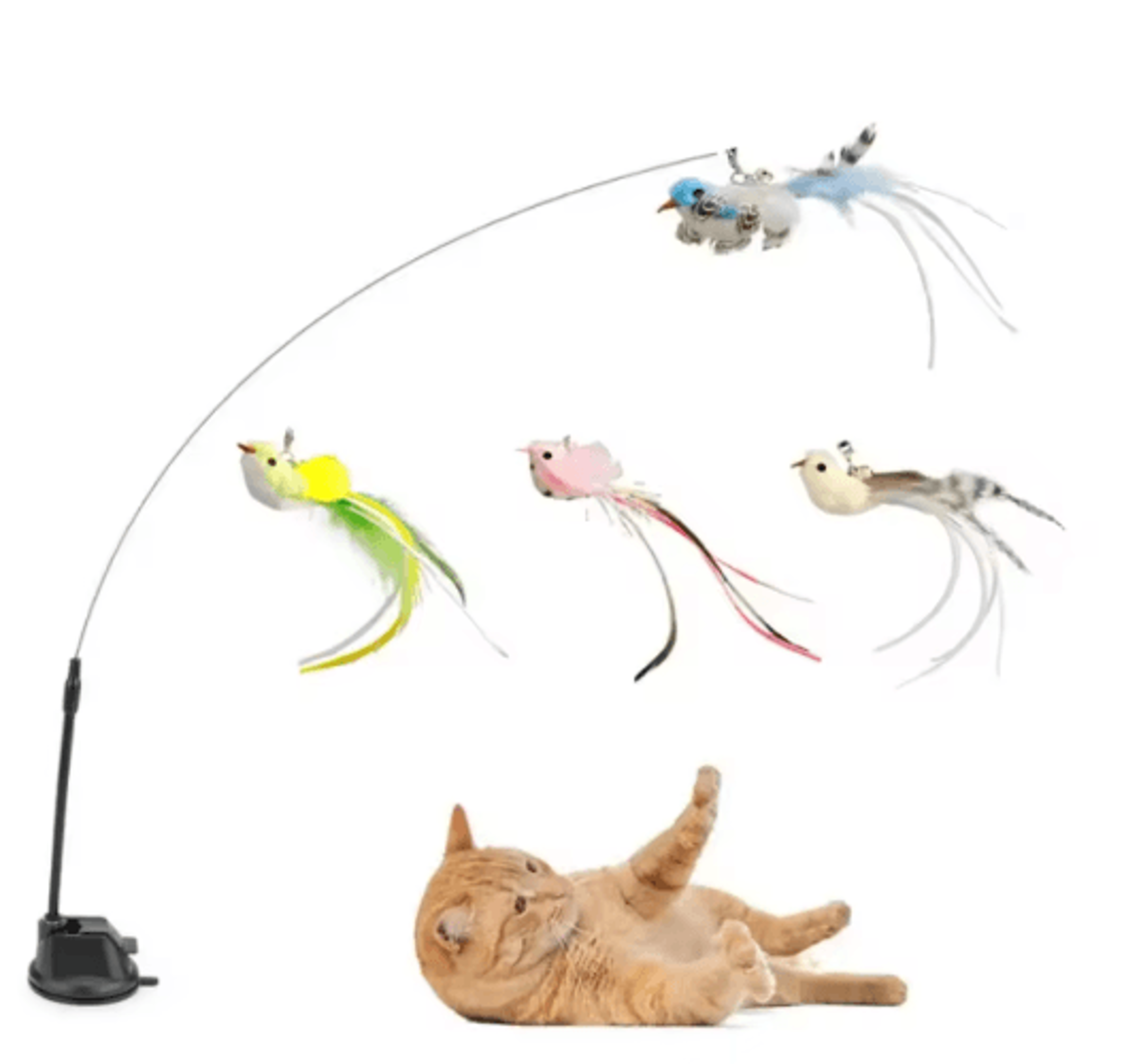 feather bird cat teaser refill interactive suction cup wand replacement toy for cats
