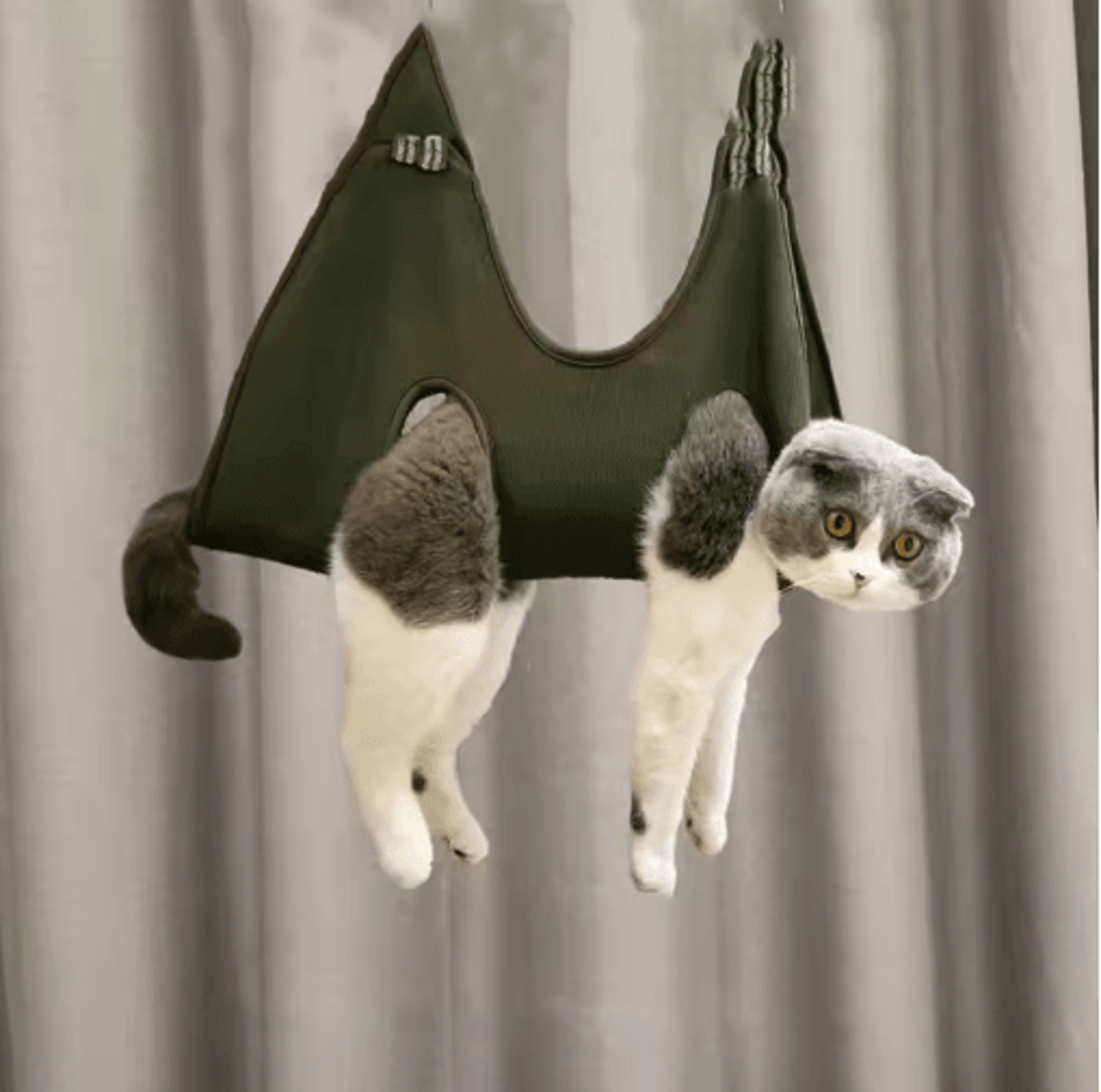 pet groom comfort lift hammock pet grooming hammock for nail trimming, bathing & care