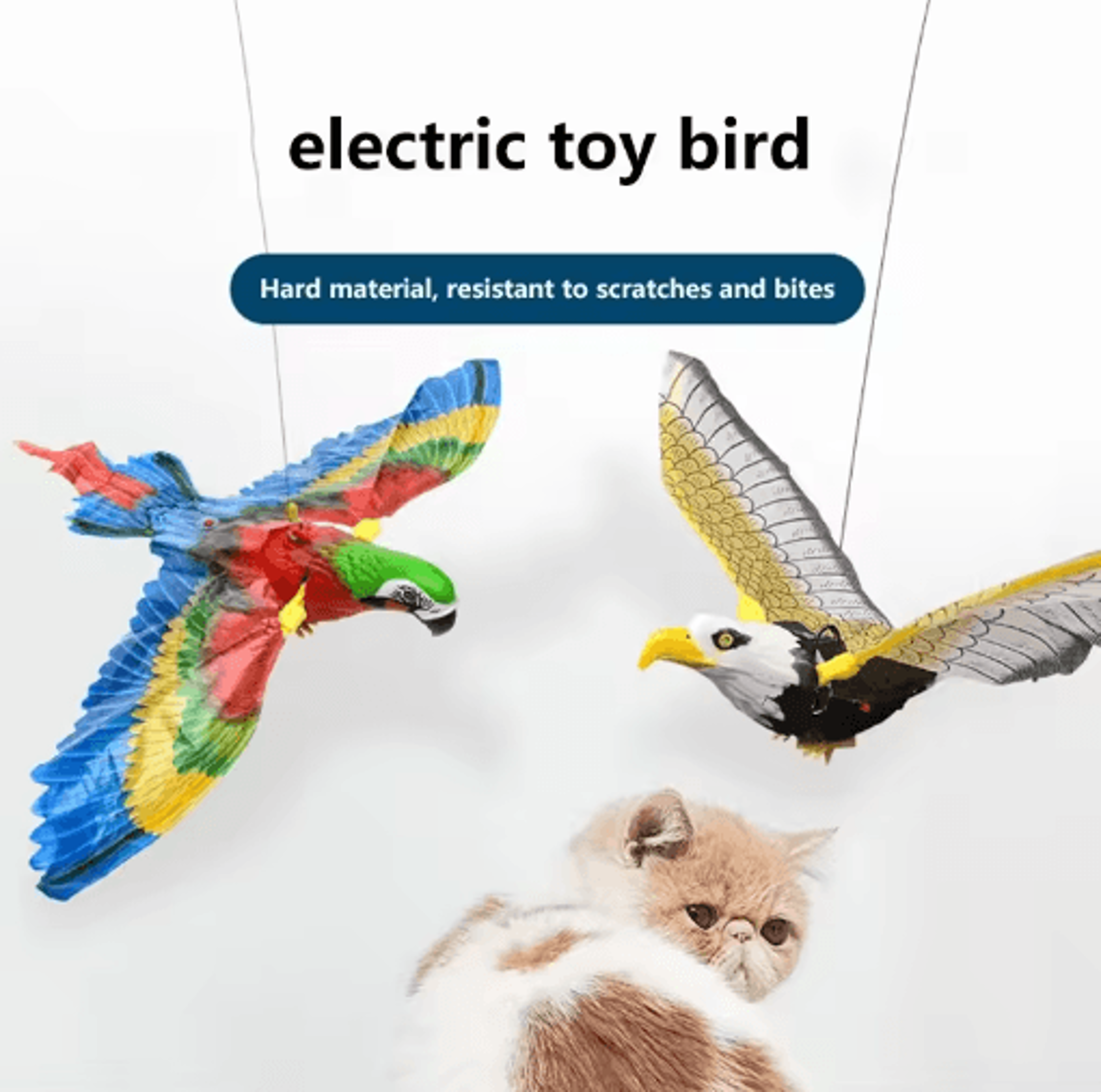 skyhunter hanging bird cat toy interactive door-mounted teaser with scratch rope & simulated bird