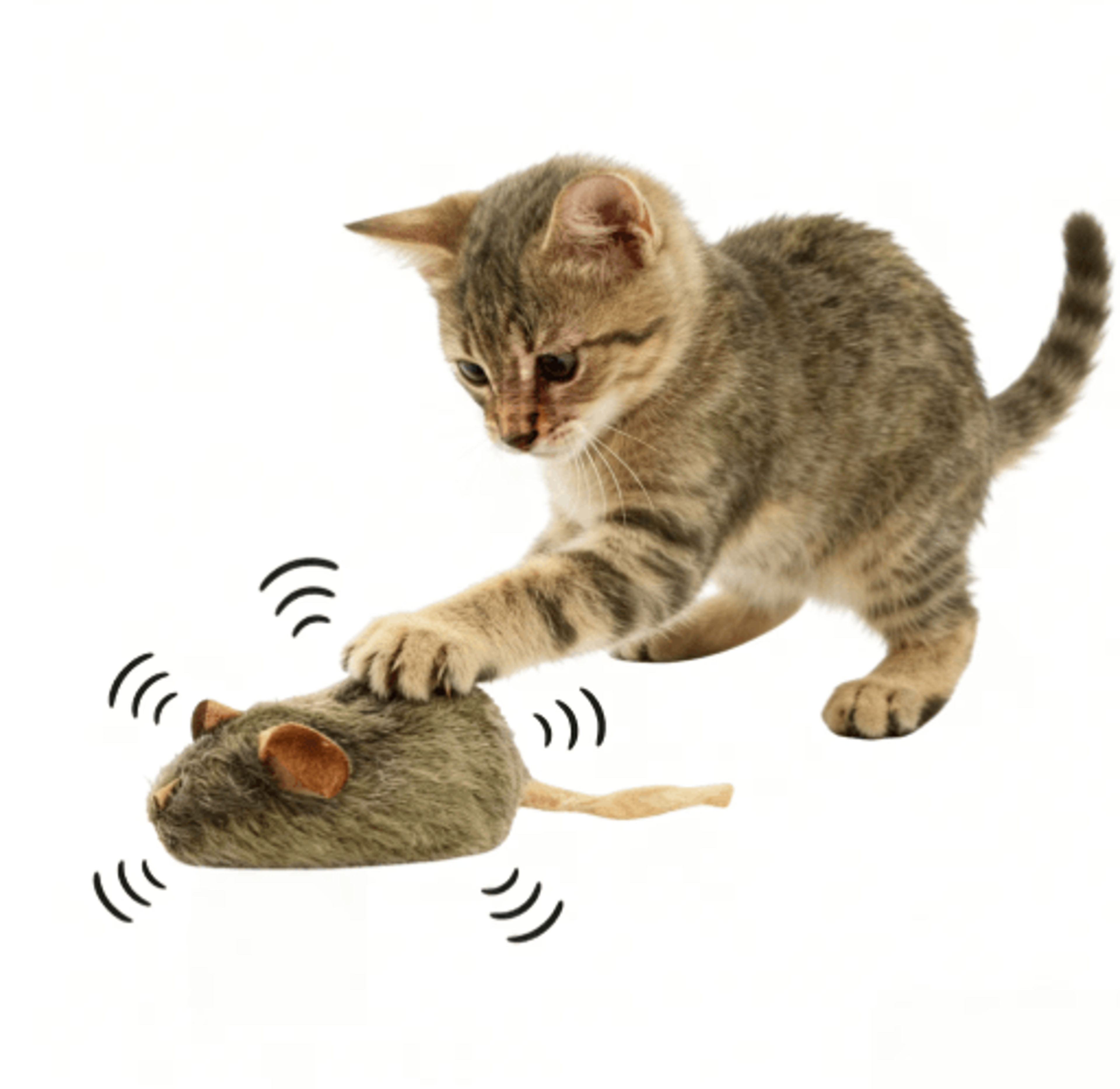 squeaky mouse plush cat toy set for chewing & interactive play
