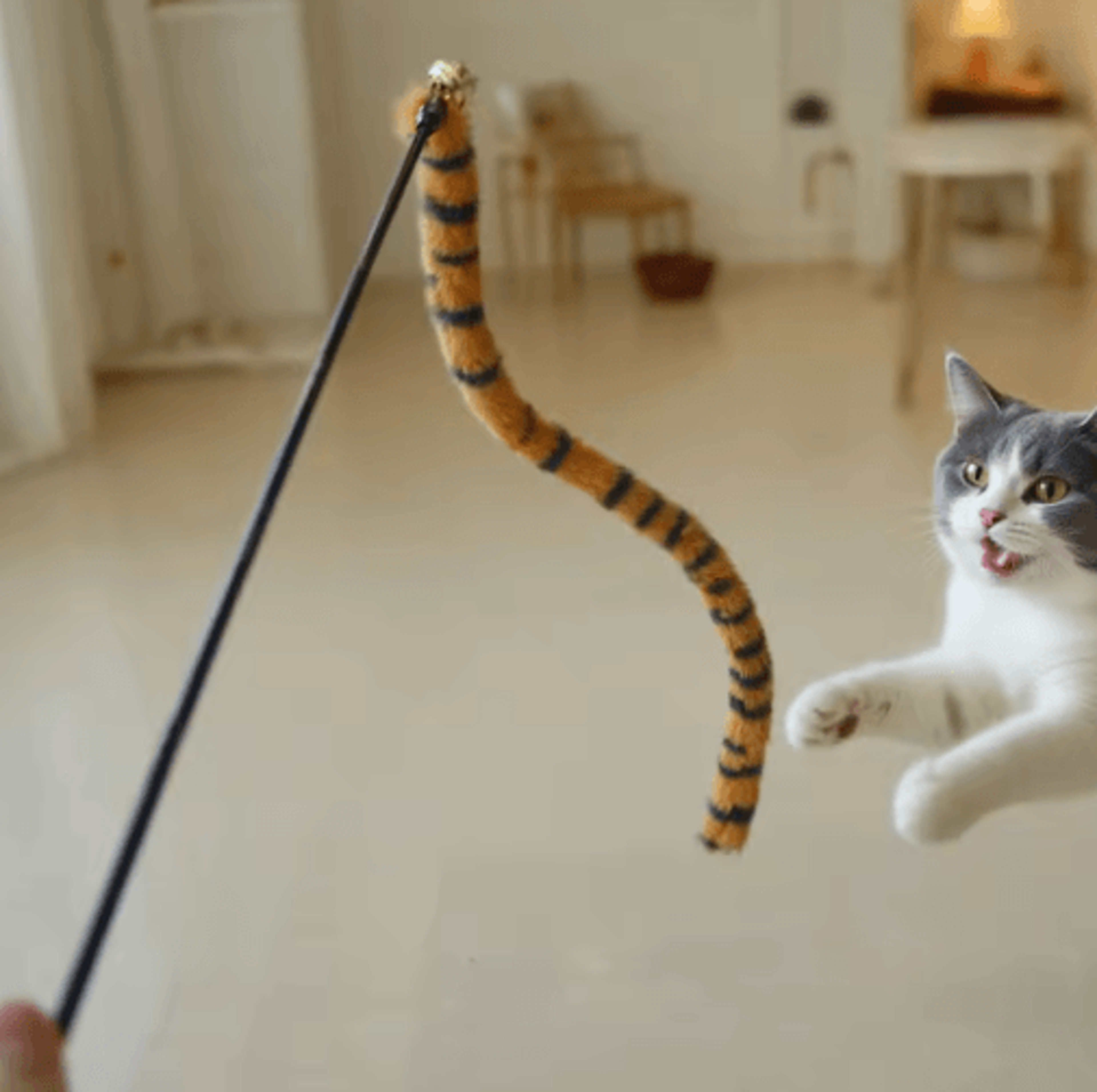 wiggletail cat teaser wand – plush worm toy with bell for interactive play & teething fun