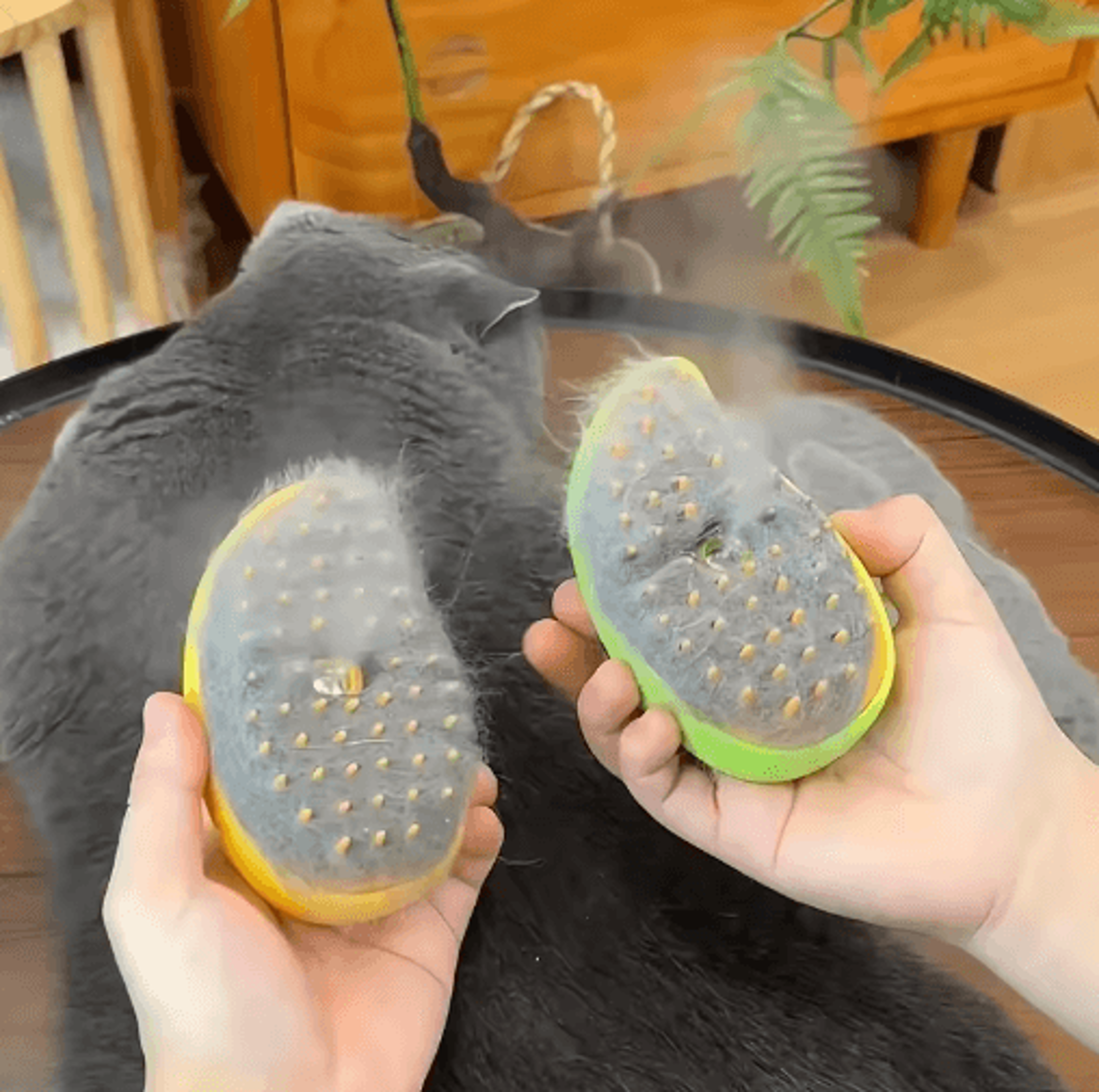 steamgroom pro 3-in-1 pet brush – electric spray grooming comb for cats & dogs