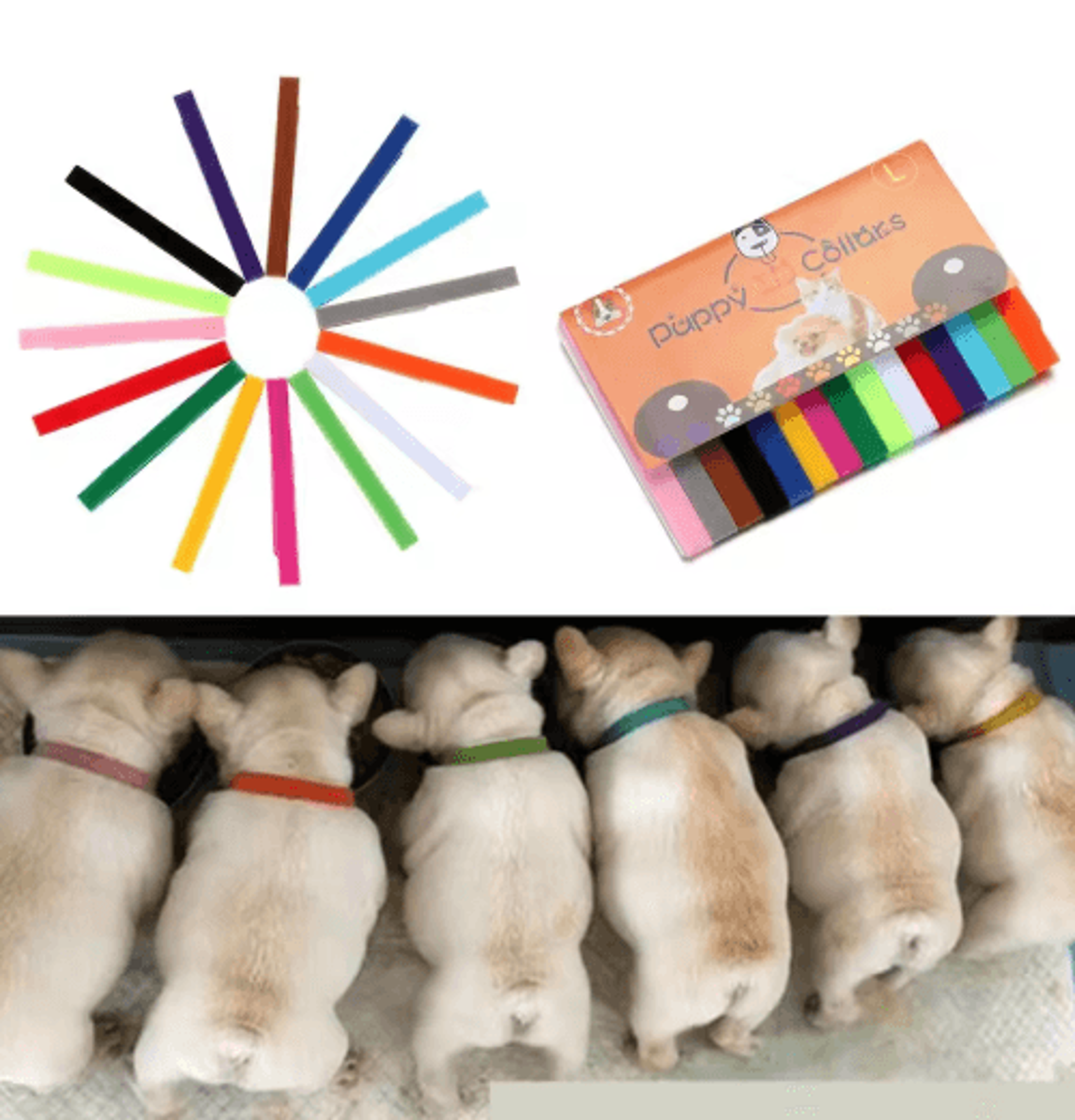 puppy track whelping collar set 15-piece adjustable identification collars for newborn puppies & kittens