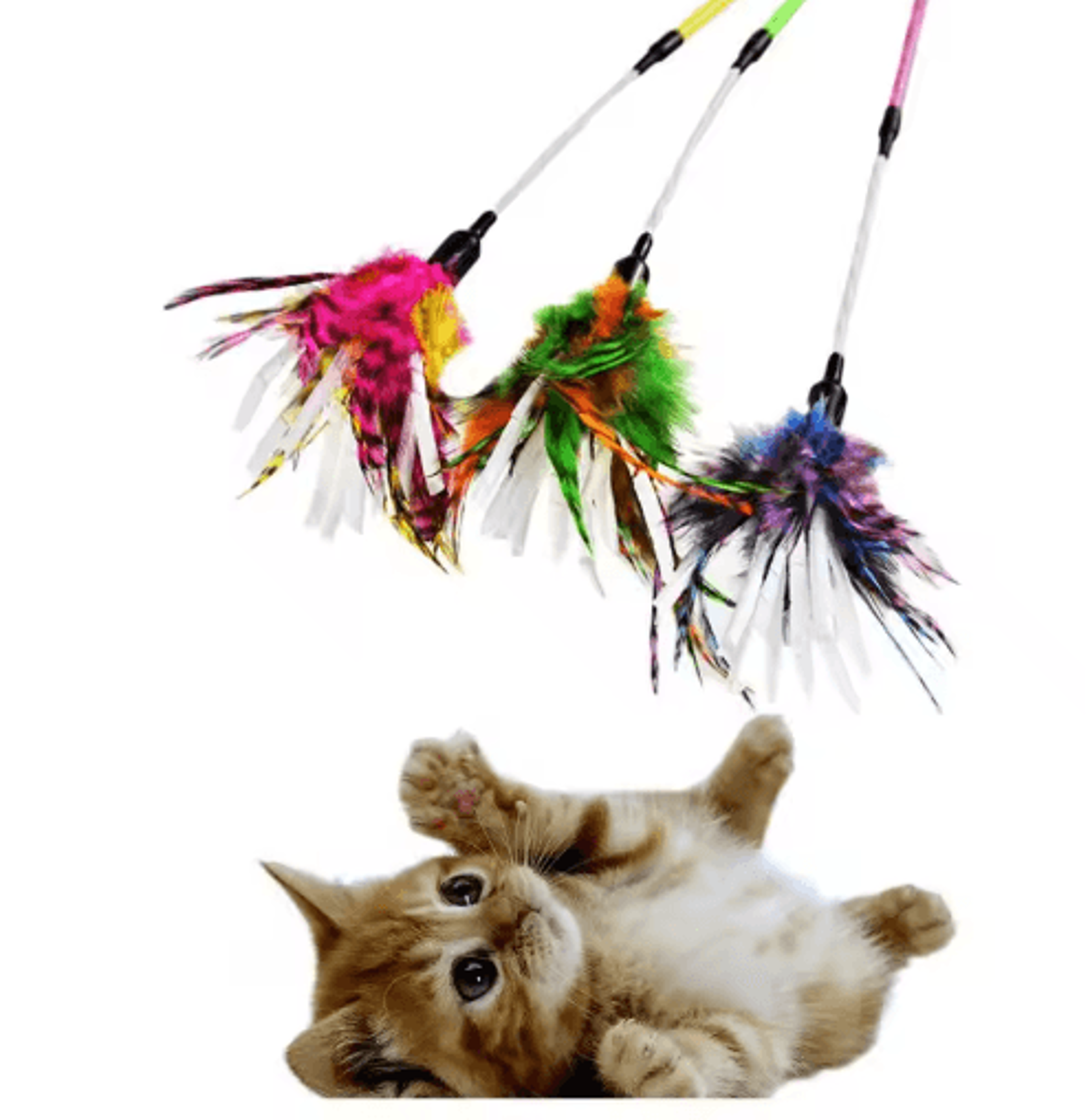 twistyfeather cat teaser wand – colorful spiral feather toy for interactive feline fun