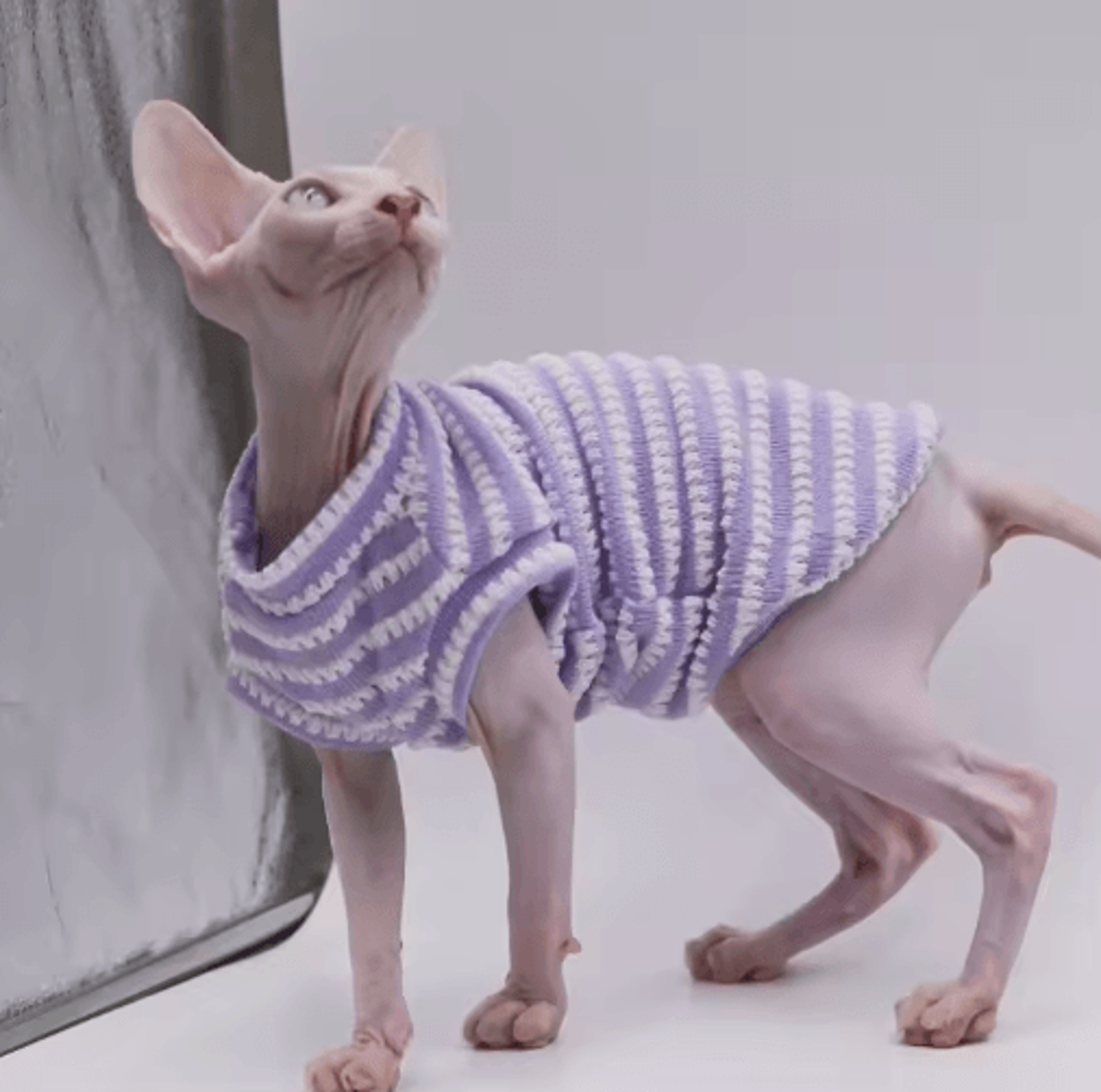 duomasumi cooling cotton cat vest for hairless cats
