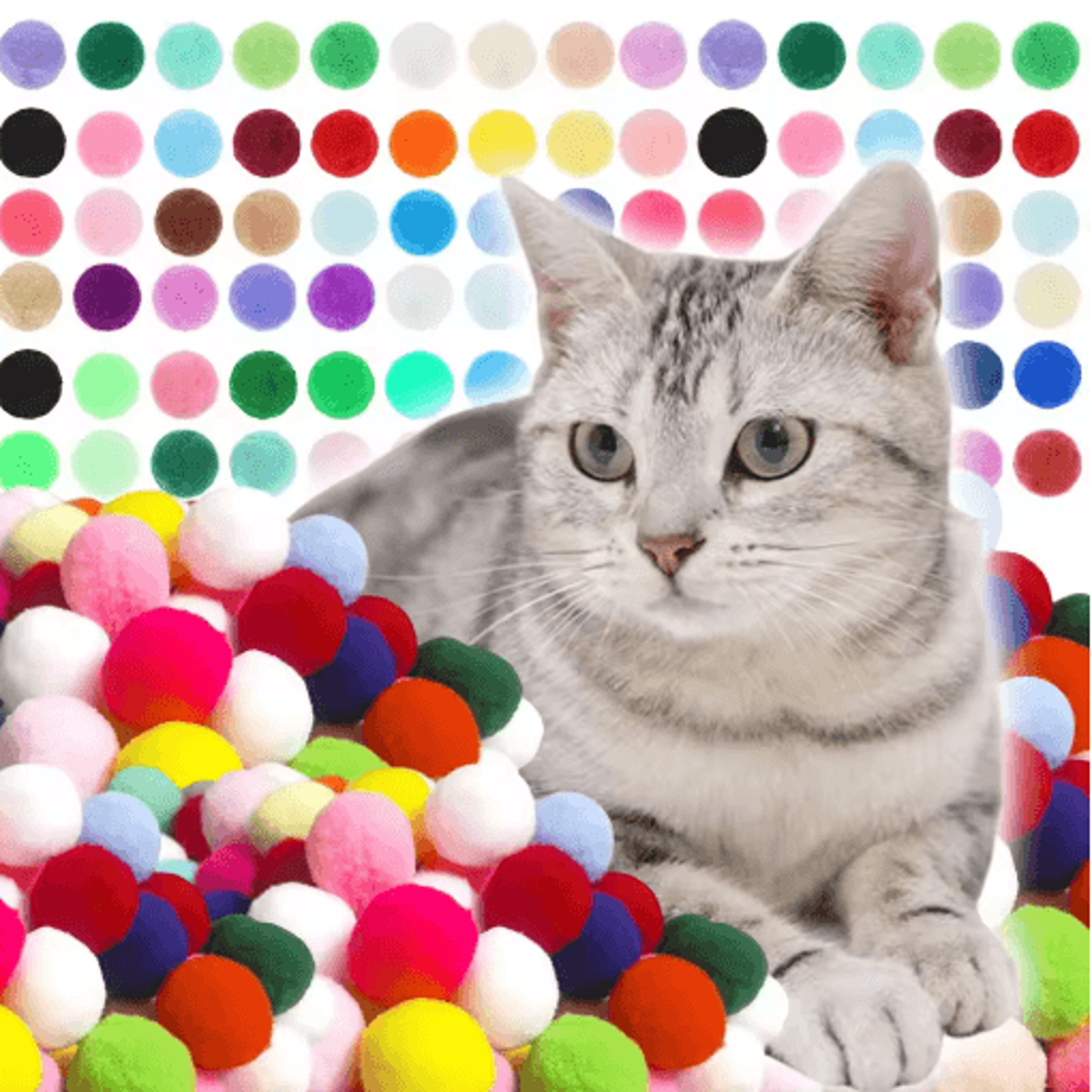 colorful plush cat toy balls for interactive play & training