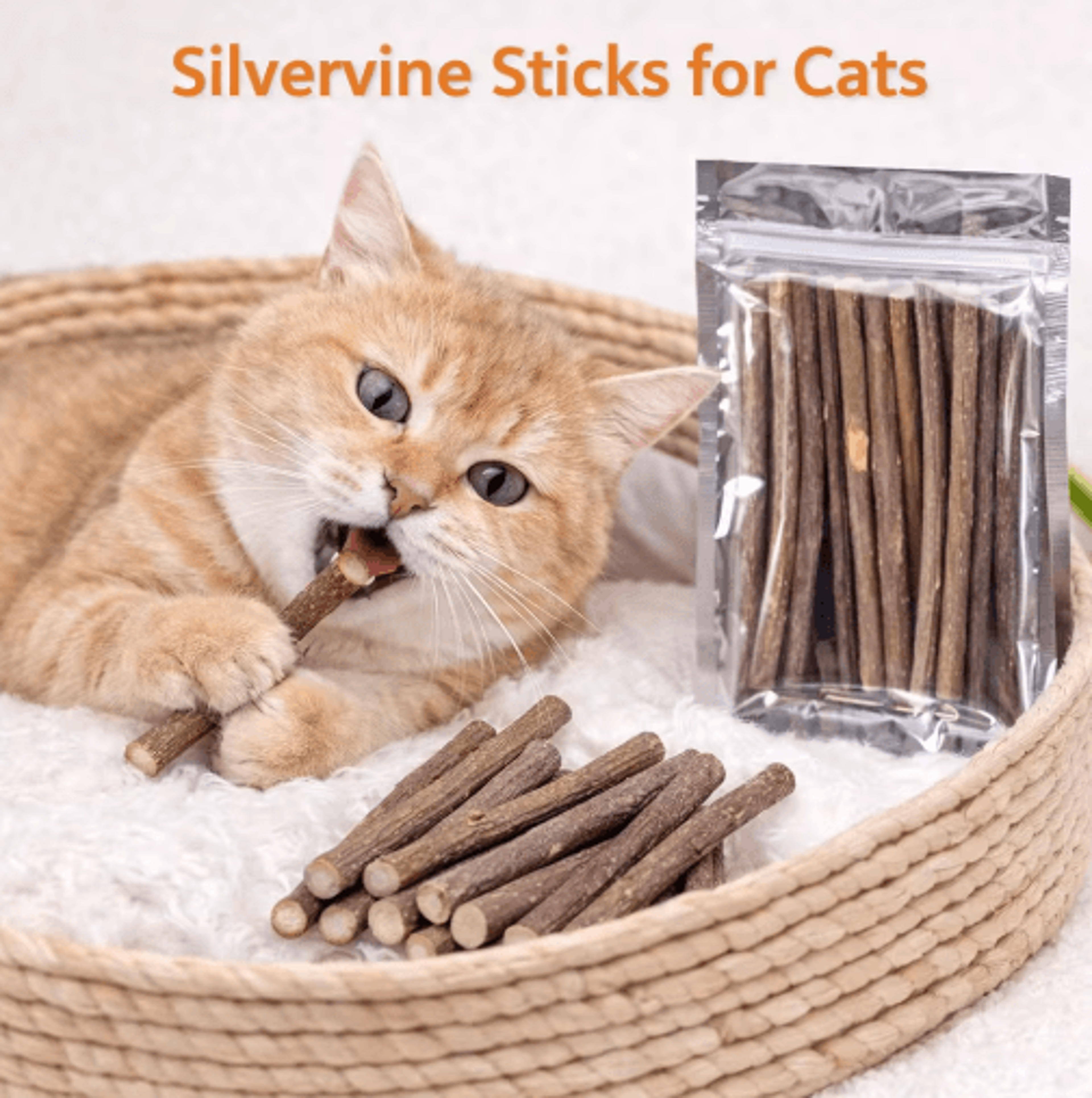 natural silvervine cat chew sticks for dental health & interactive play