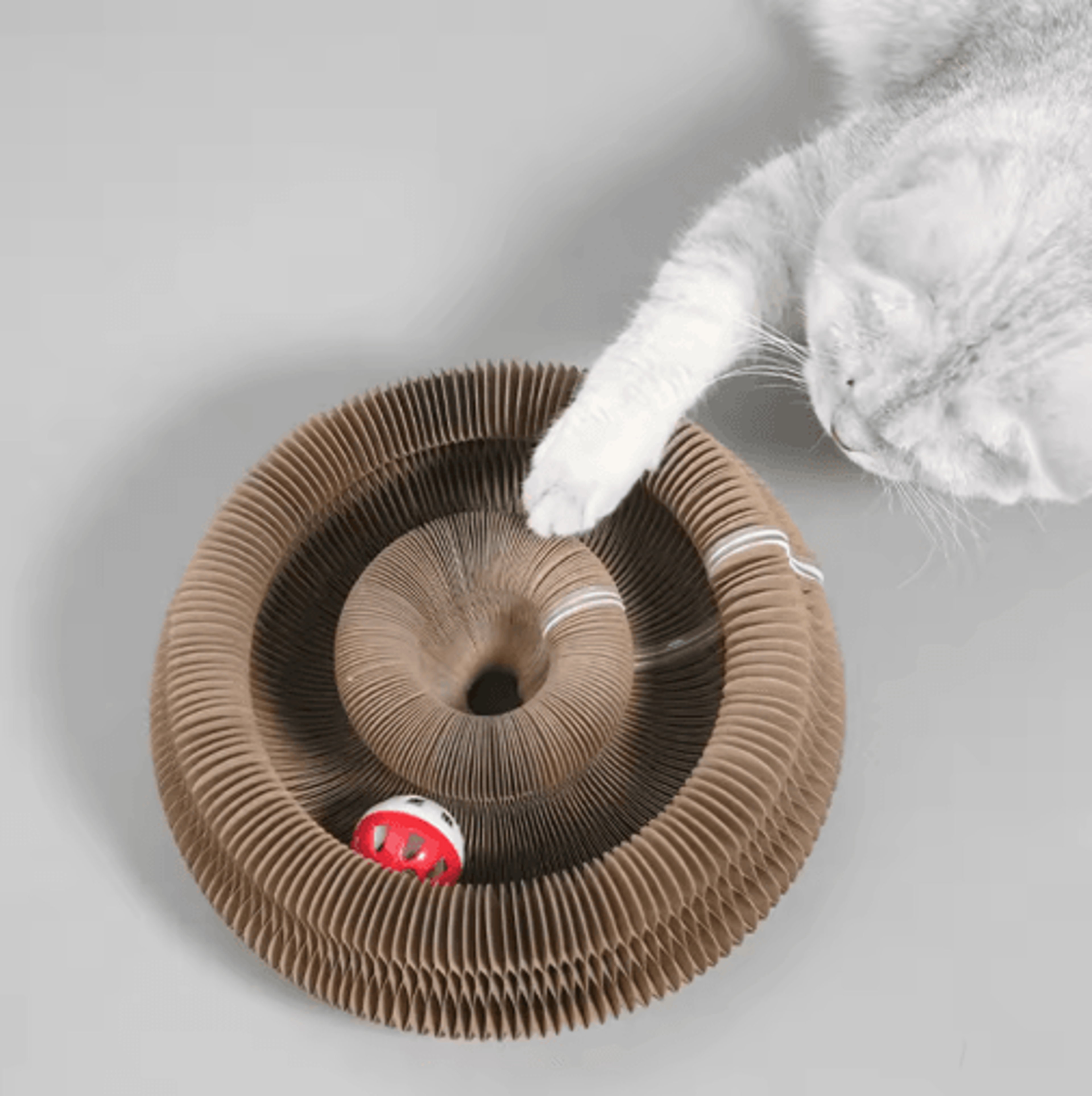 2-pack accordion cat scratcher bed for play, rest & boredom relief
