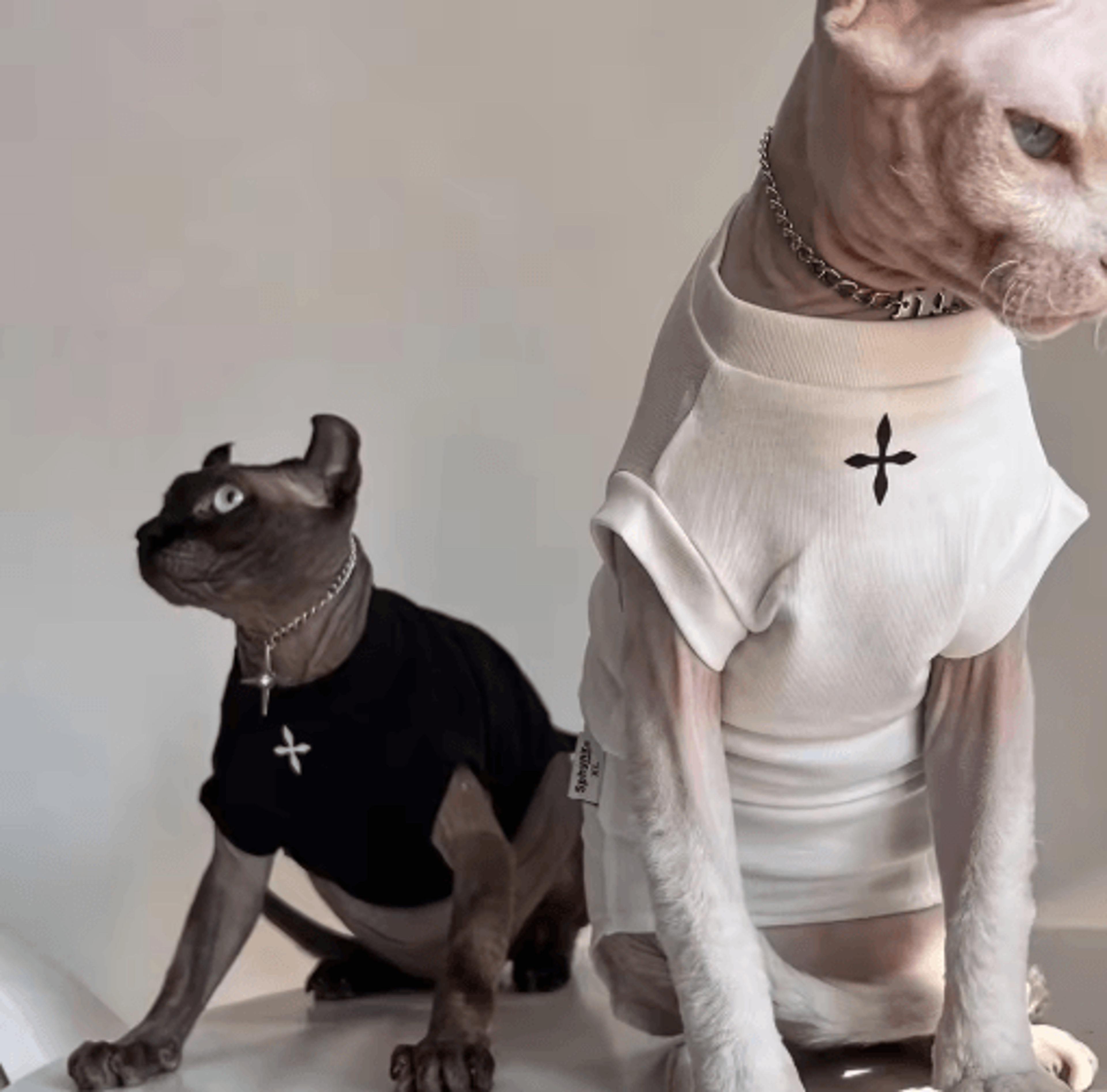 cozy cotton winter shirt for sphynx cats & hairless breeds