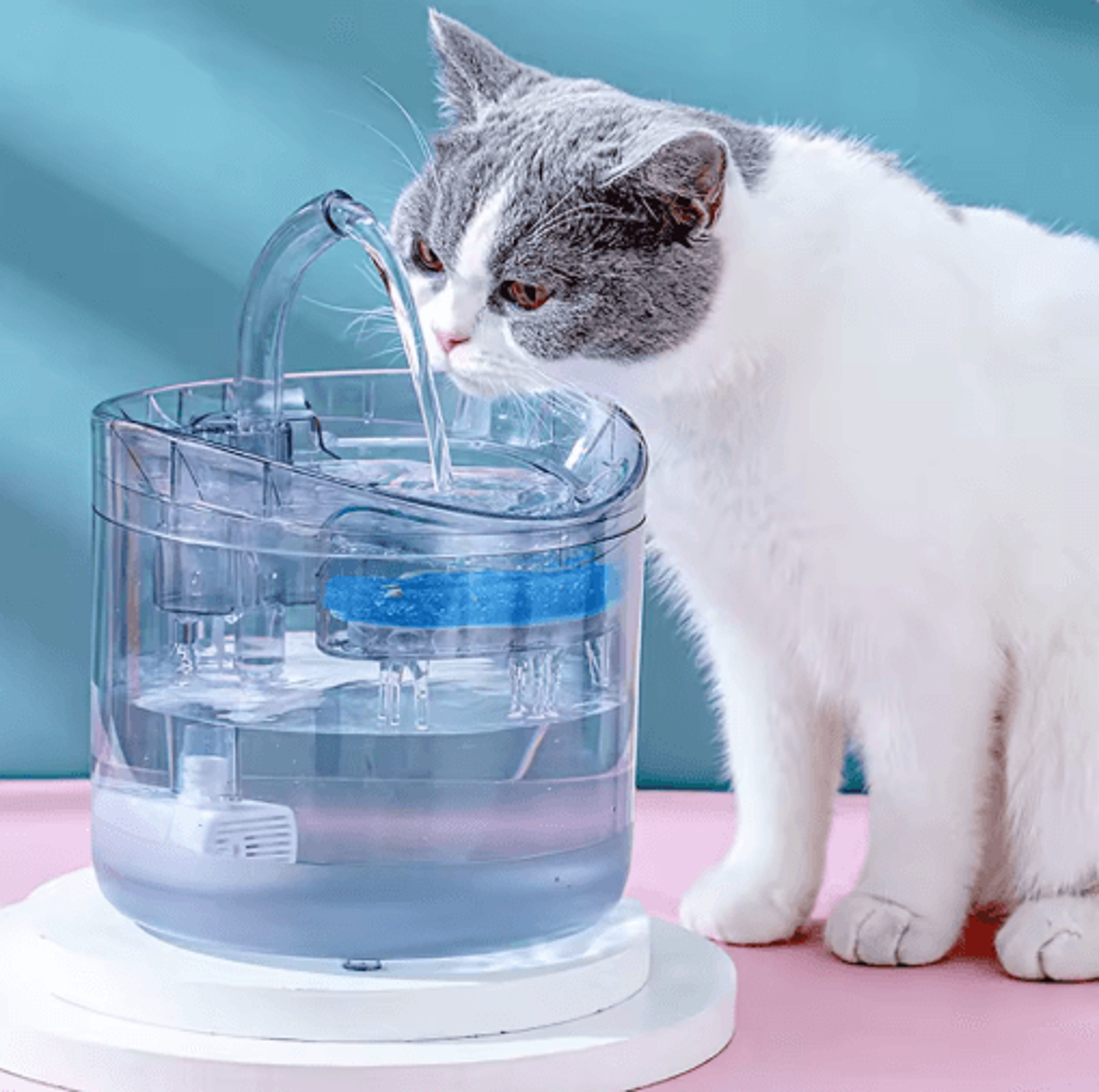 smart sensor pet water fountain for cats & small dogs