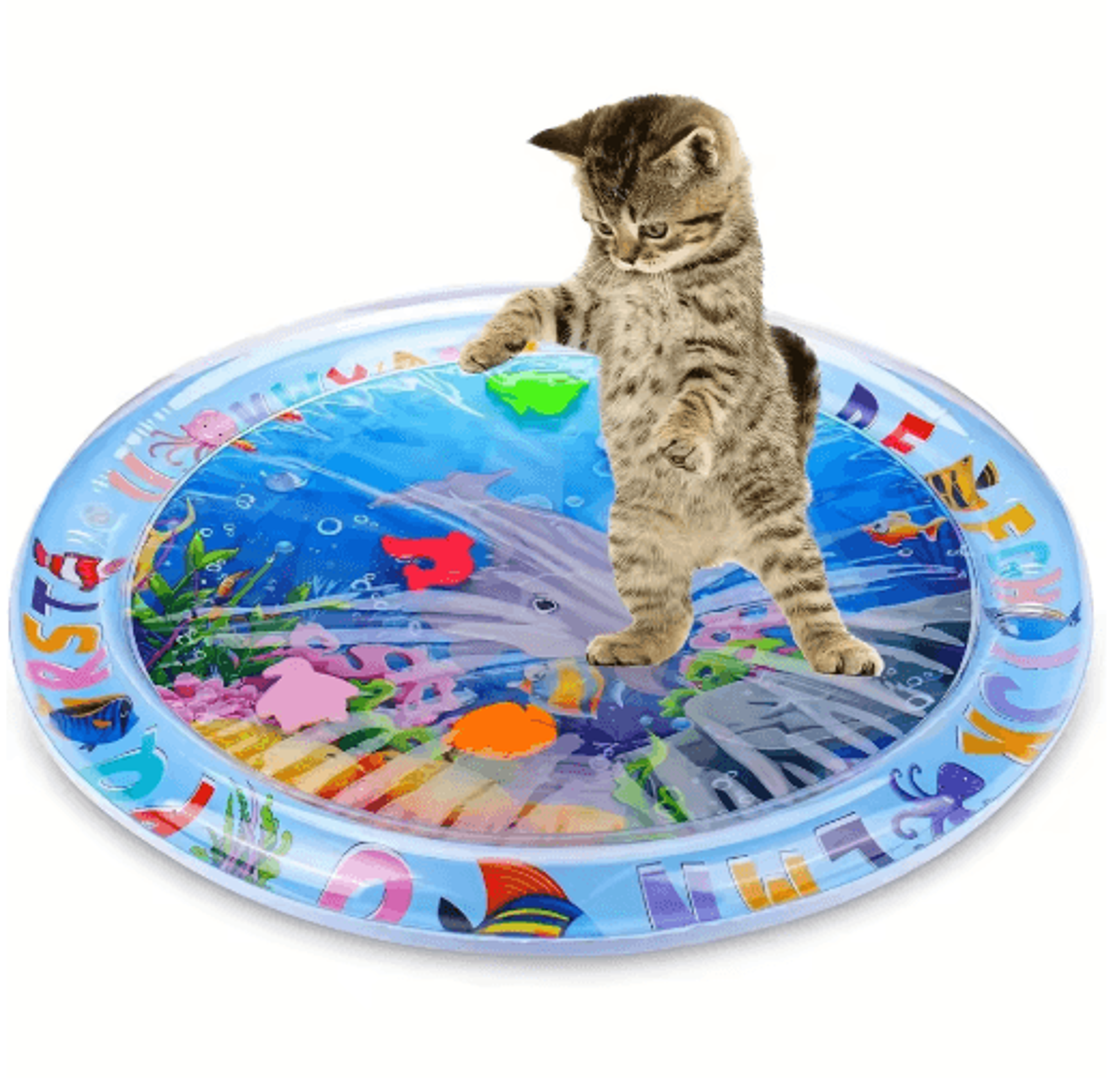 interactive floating fish water play mat for cats & kittens