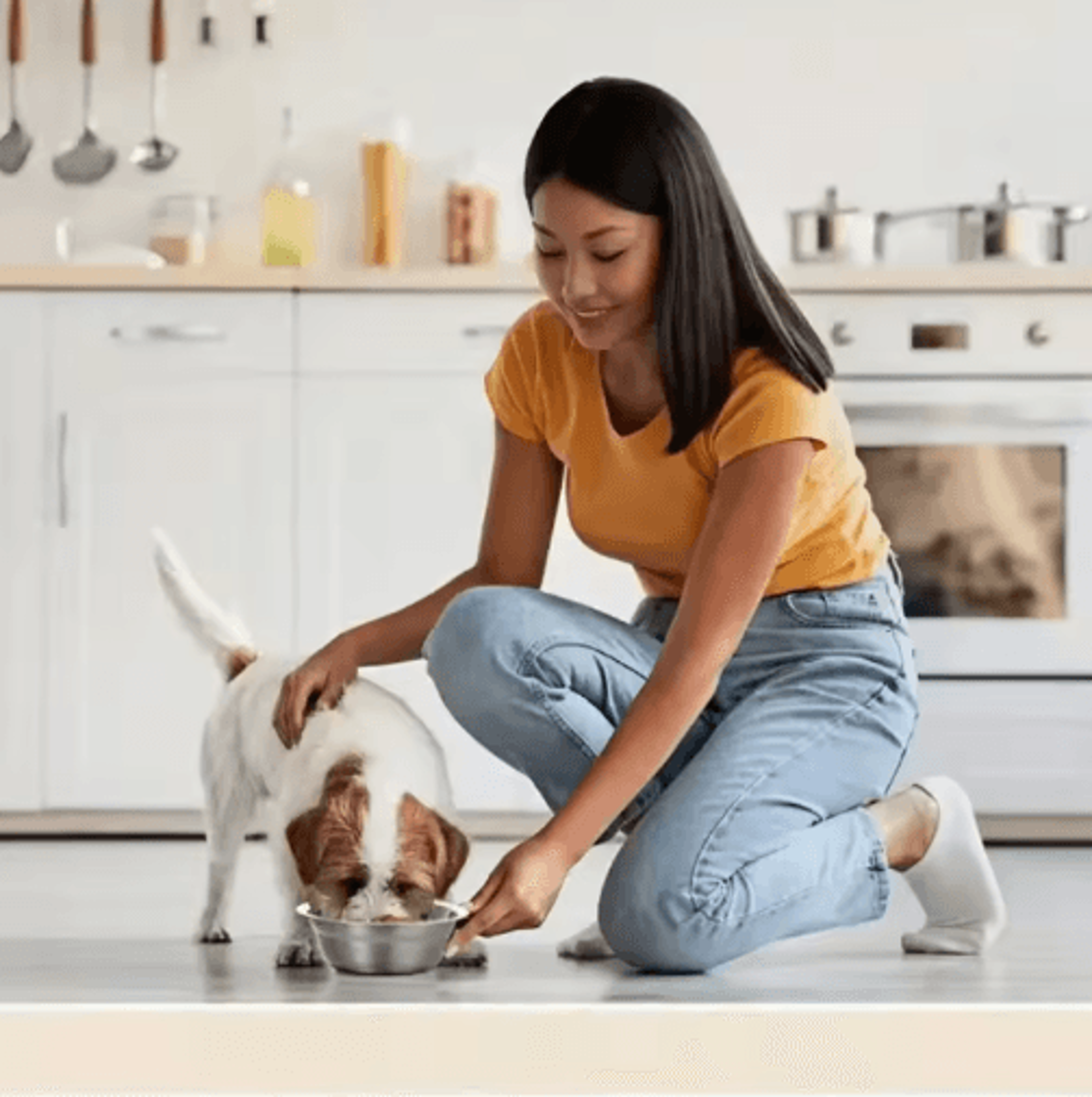 stainless steel anti-slip pet feeding bowl set for cages & kennels