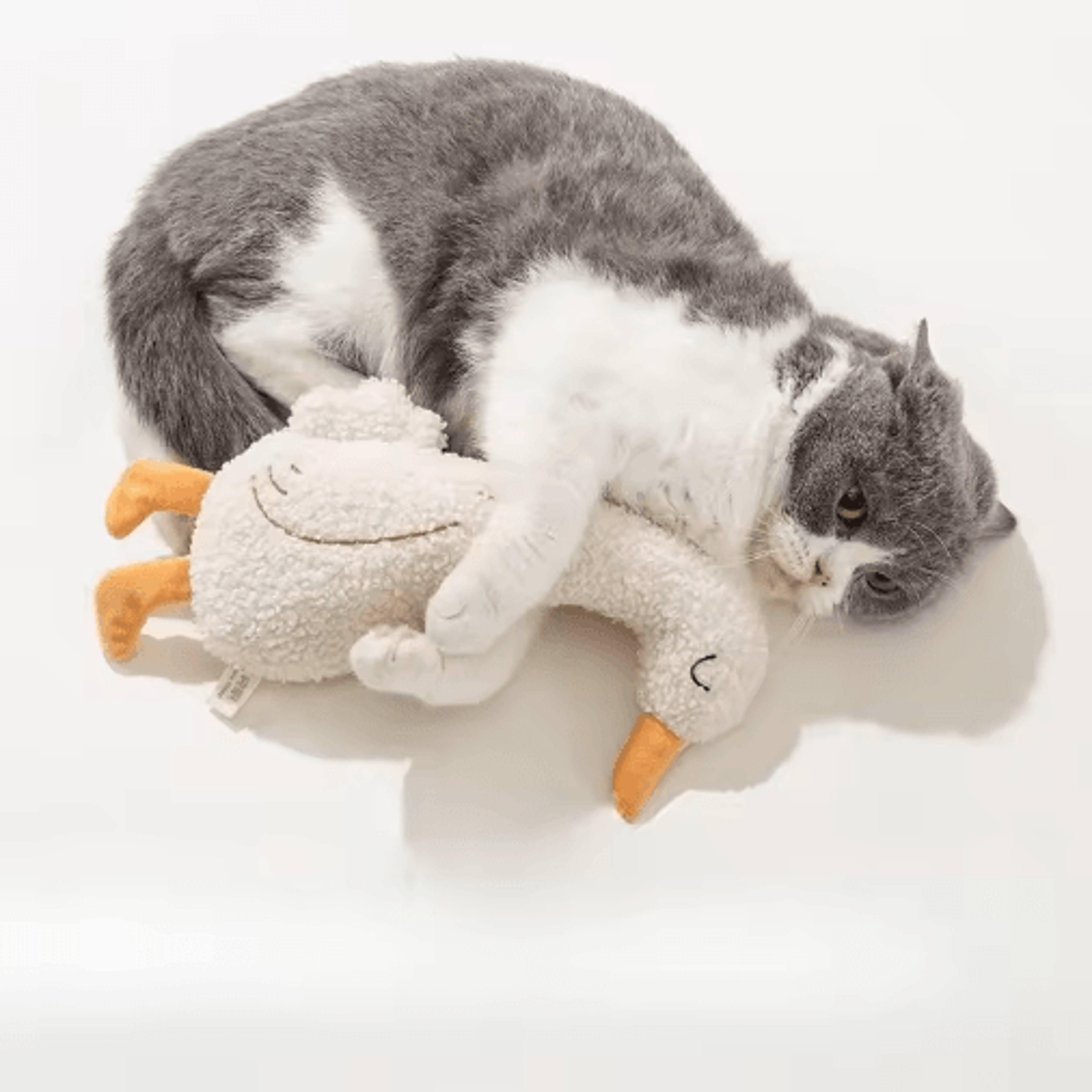 interactive plush squeaky chew toy for cats & dogs