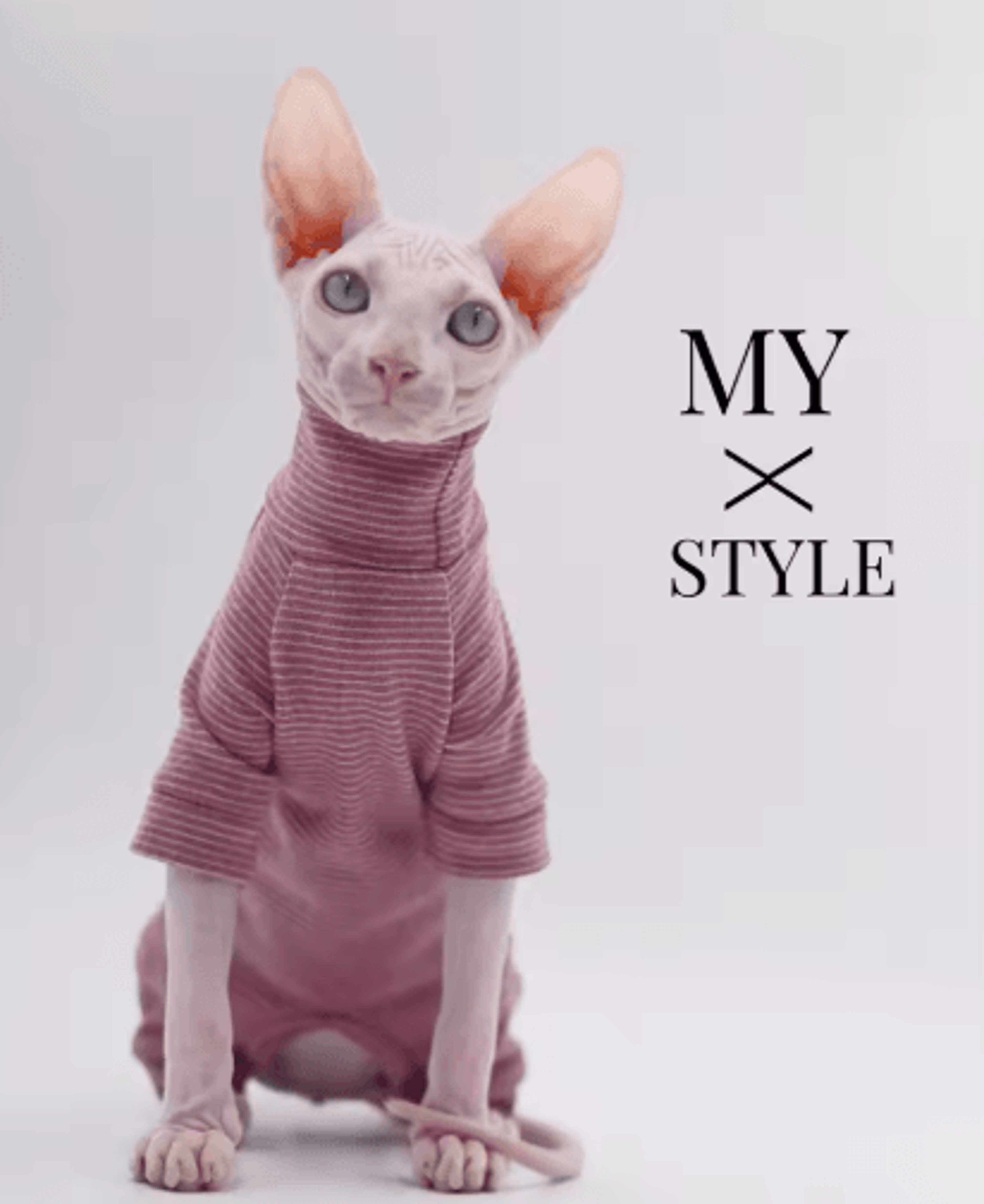 warm four-legged hoodie for sphynx cats & hairless breeds