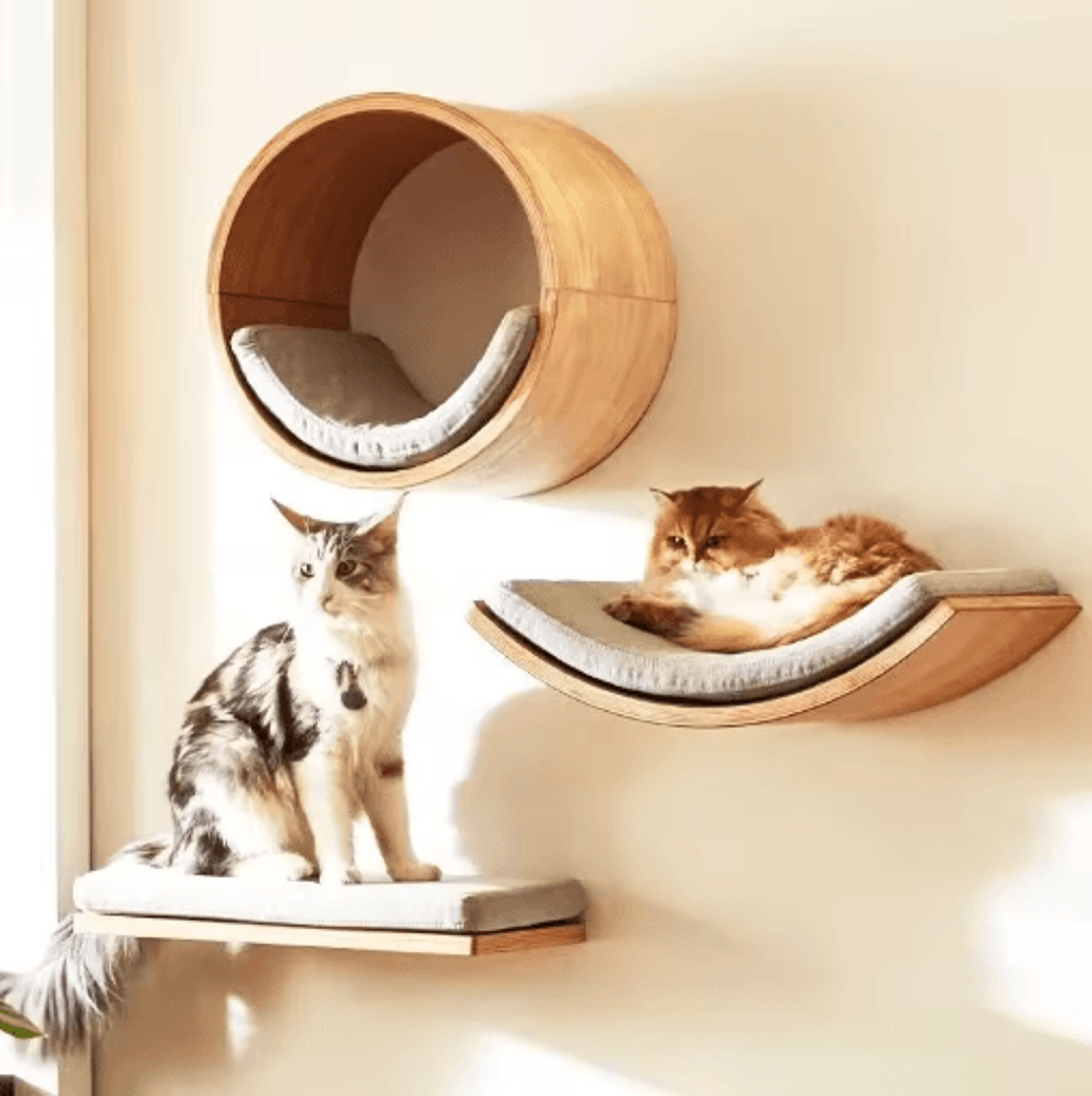 wall-mounted wooden cat climbing shelves & sisal scratching playground